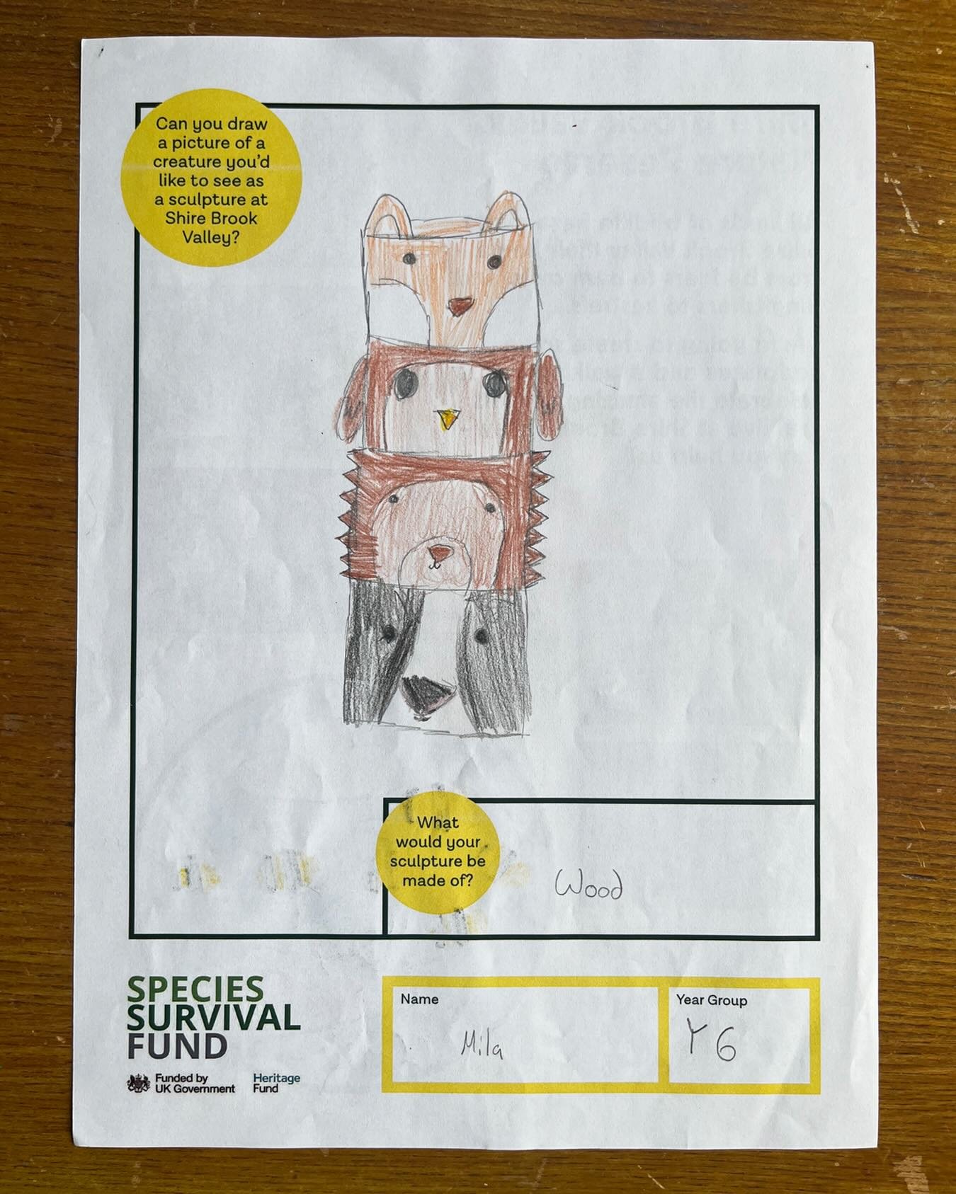 We created resources for schools close to Shire Brook Valley to find out what animals and what style of sculpture would appeal most to young people on its doorstep. We had some gorgeous responses. These are a few faves 🦊🐻&zwj;❄️🐭🦇🦉
