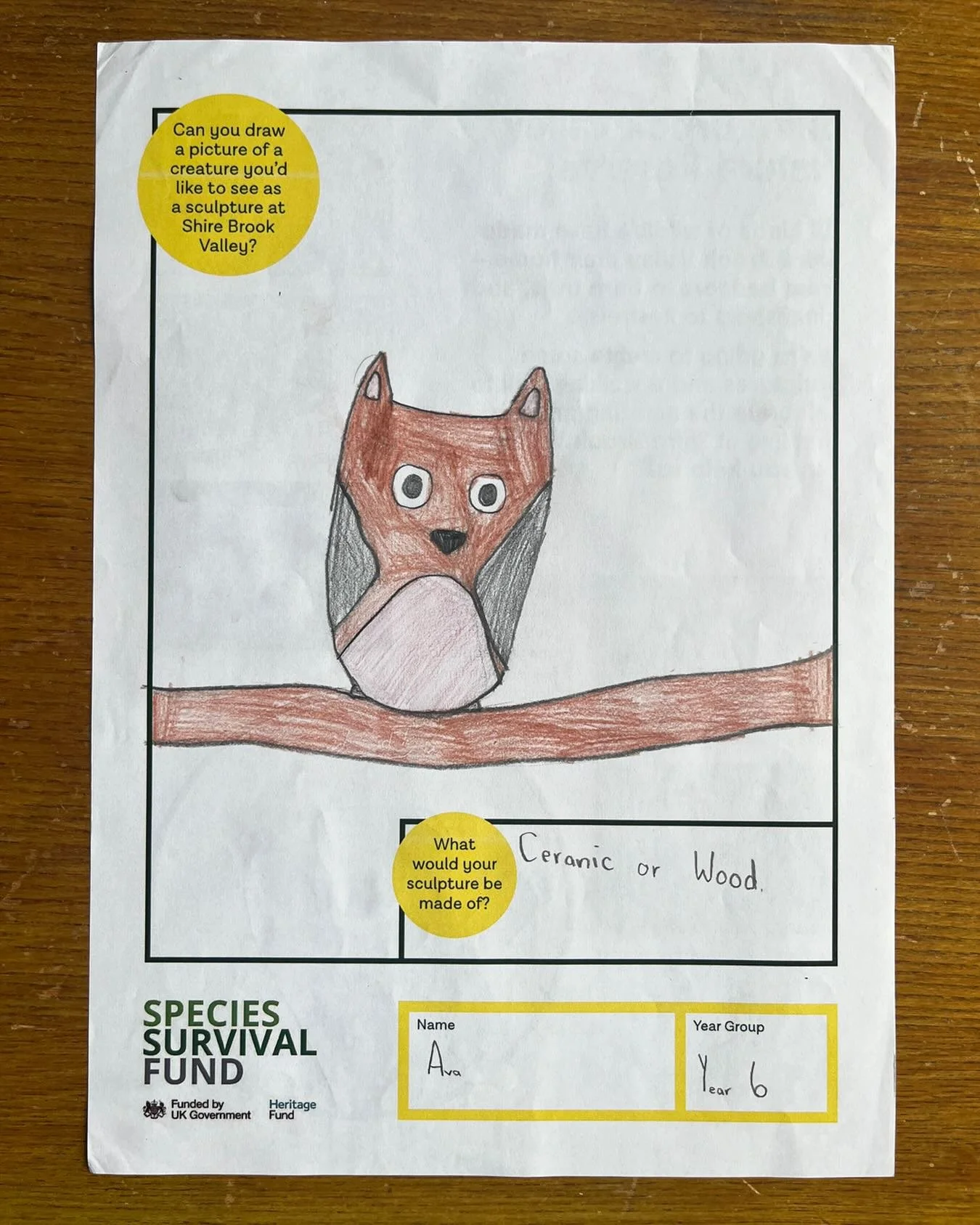 We created resources for schools close to Shire Brook Valley to find out what animals and what style of sculpture would appeal most to young people on its doorstep. We had some gorgeous responses. These are a few faves 🦊🐻&zwj;❄️🐭🦇🦉