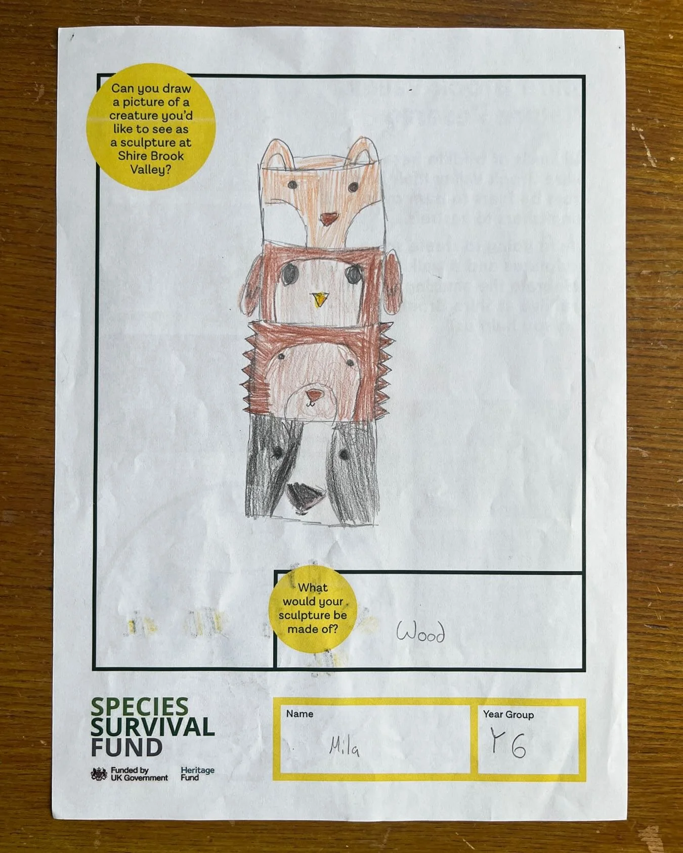 We created resources for schools close to Shire Brook Valley to find out what animals and what style of sculpture would appeal most to young people on its doorstep. We had some gorgeous responses. These are a few faves 🦊🐻&zwj;❄️🐭🦇🦉