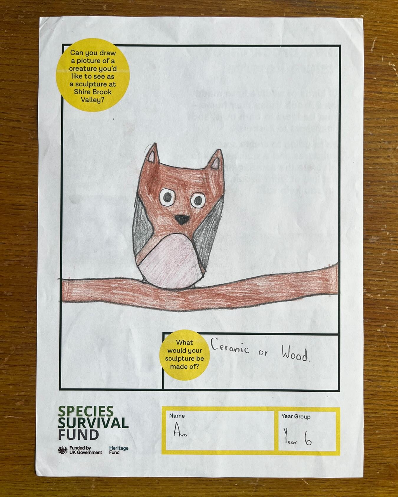 We created resources for schools close to Shire Brook Valley to find out what animals and what style of sculpture would appeal most to young people on its doorstep. We had some gorgeous responses. These are a few faves 🦊🐻&zwj;❄️🐭🦇🦉