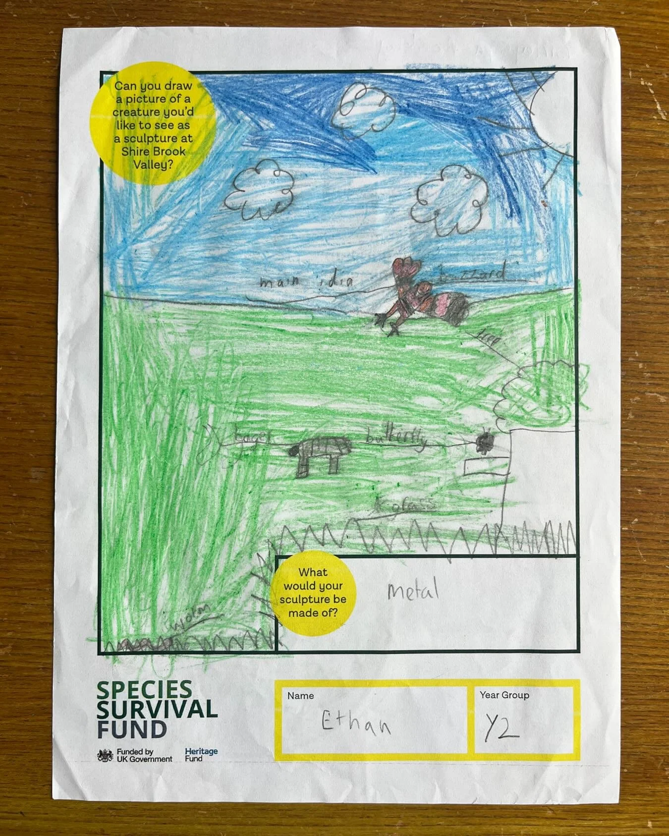 We created resources for schools close to Shire Brook Valley to find out what animals and what style of sculpture would appeal most to young people on its doorstep. We had some gorgeous responses. These are a few faves 🦊🐻&zwj;❄️🐭🦇🦉