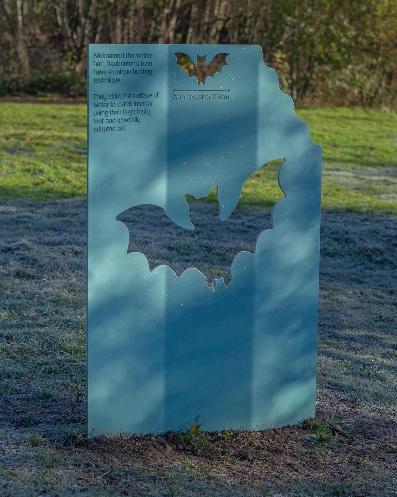 Some more pops of blue from our sculpture trail at Shire Brook Valley on this gloomy grey day.