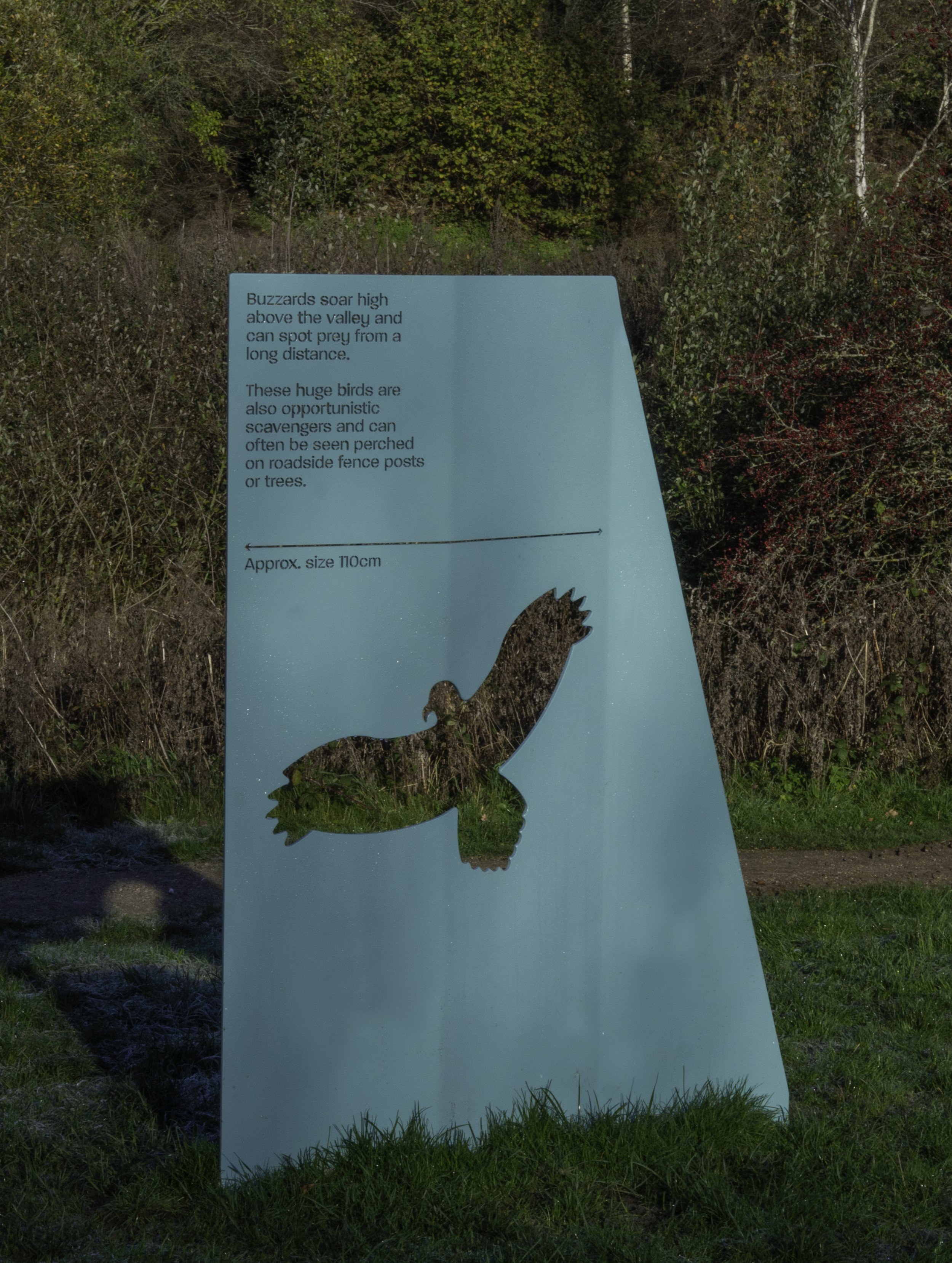 P1010213-Edit copy.jpg