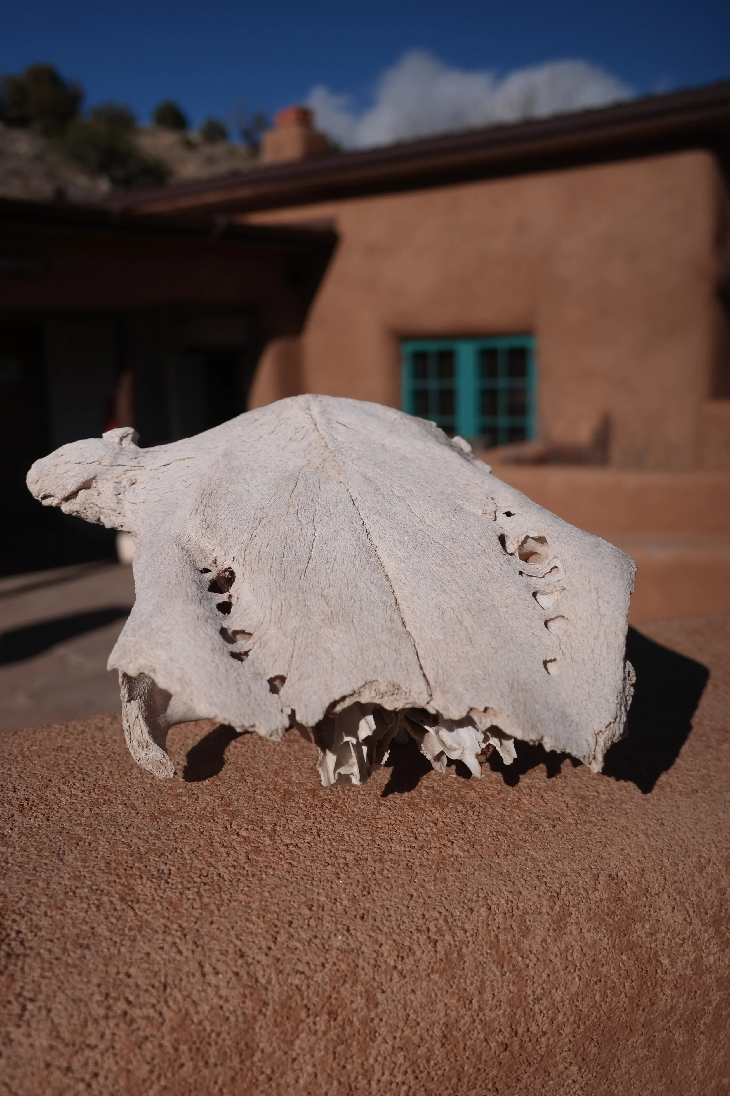 (2013-01-01 04-19-54)SAMSUNG CSC SAMSUNG NX300 (5472x3648).JPEG