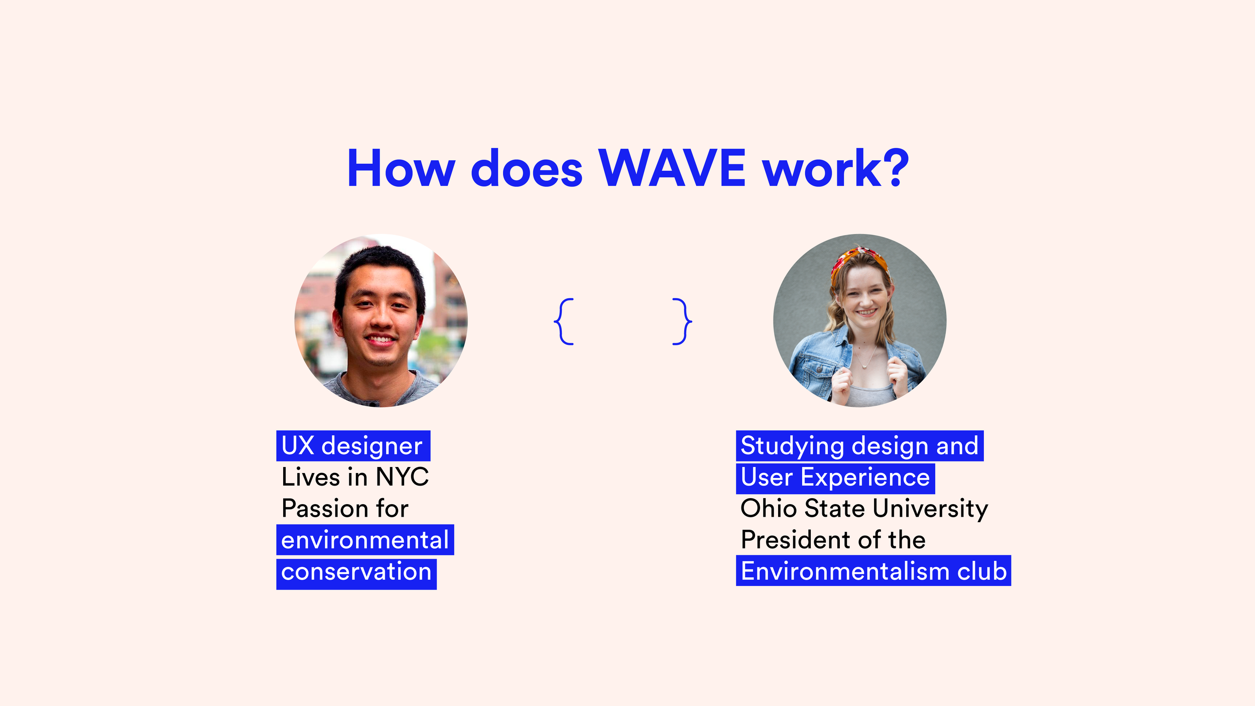 How does WAVE work_.png