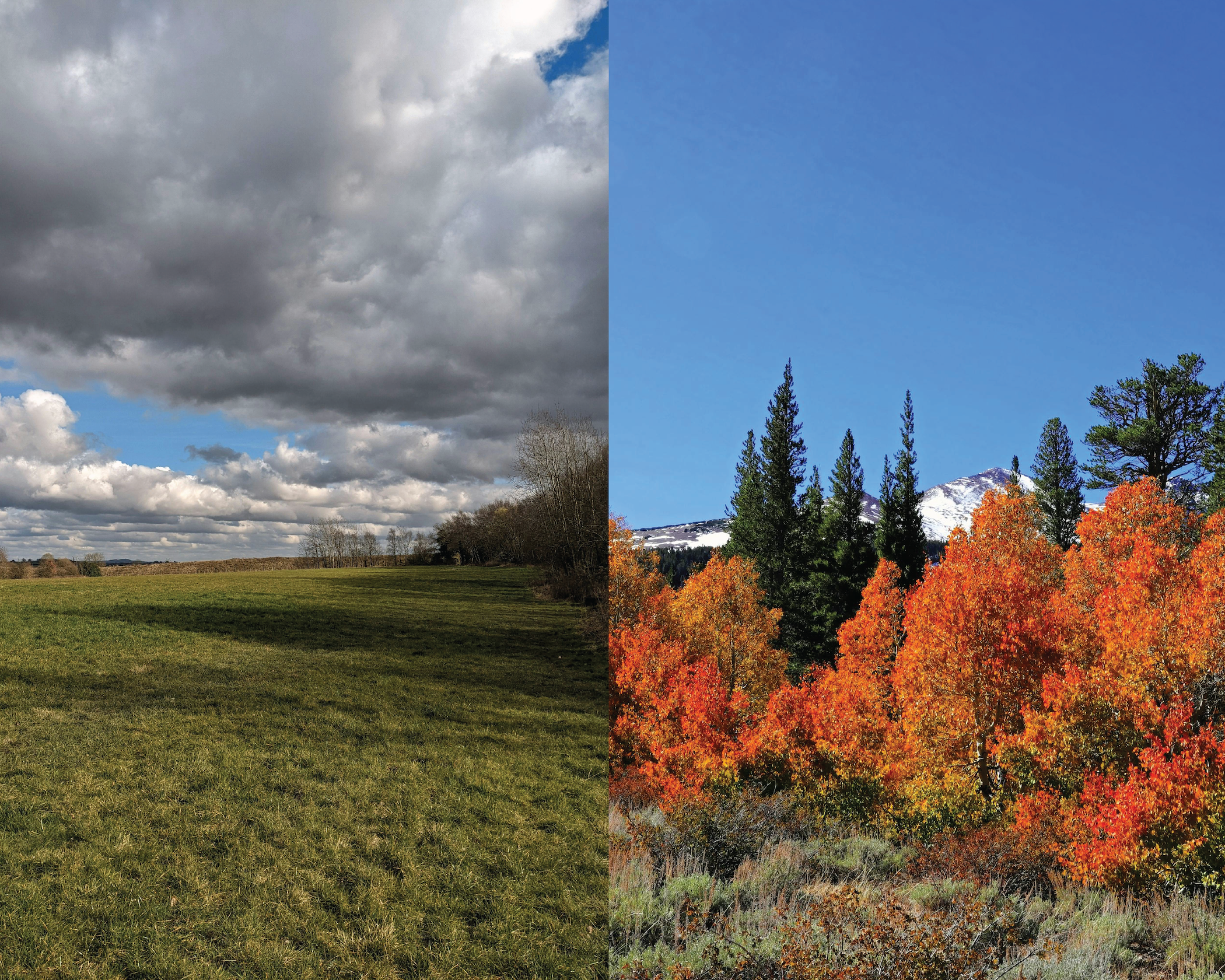 Shouts, Whispers, and Everything In Between