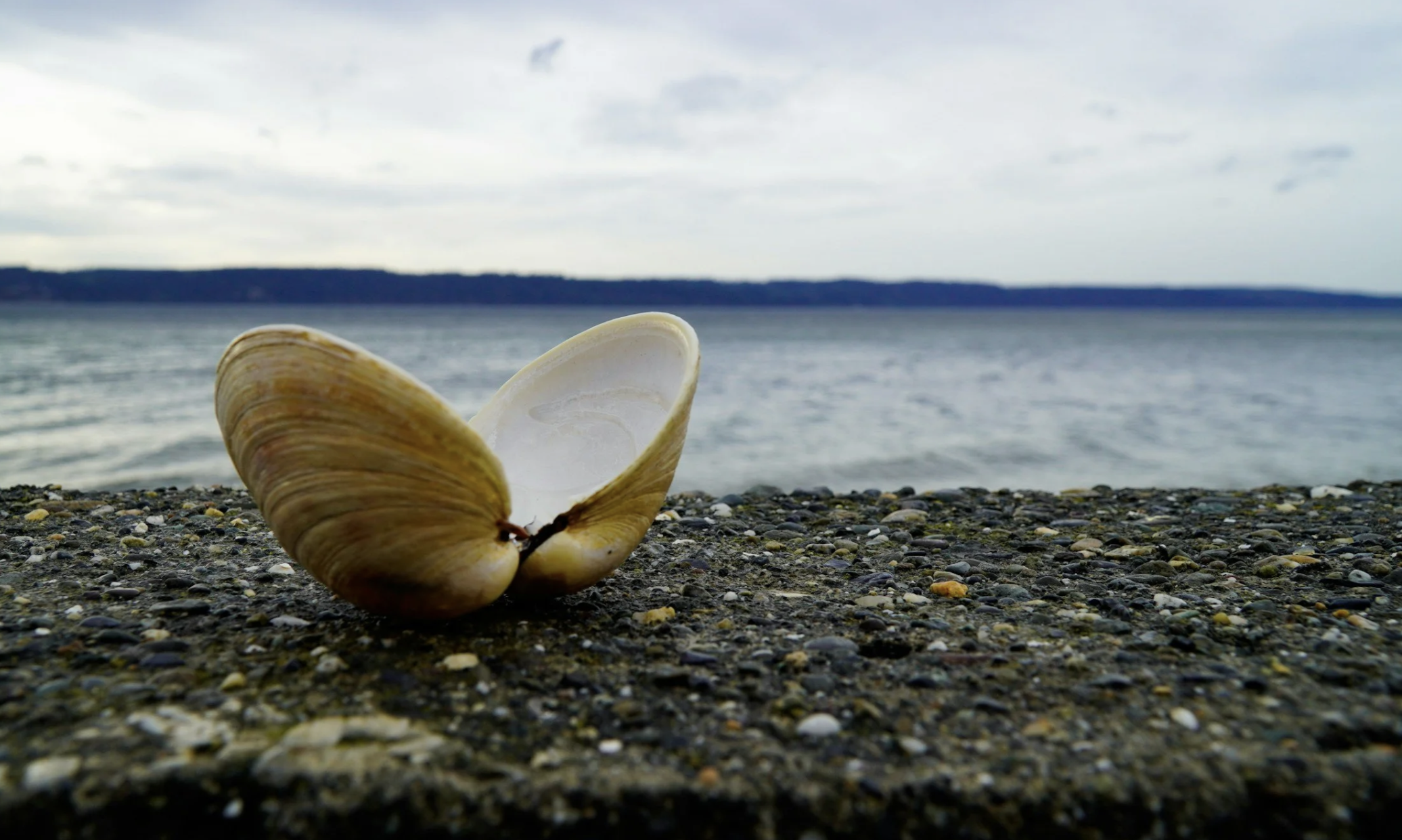 A Rant About Communication