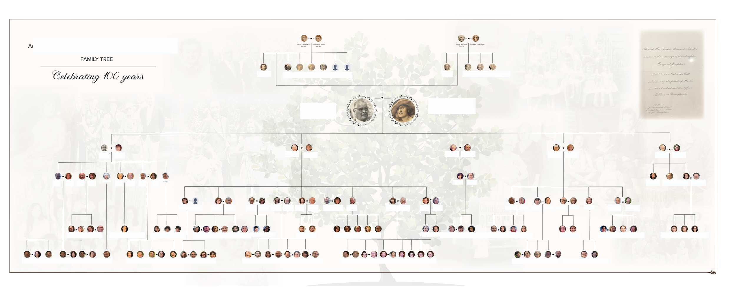 portfoliobannerstree9.png