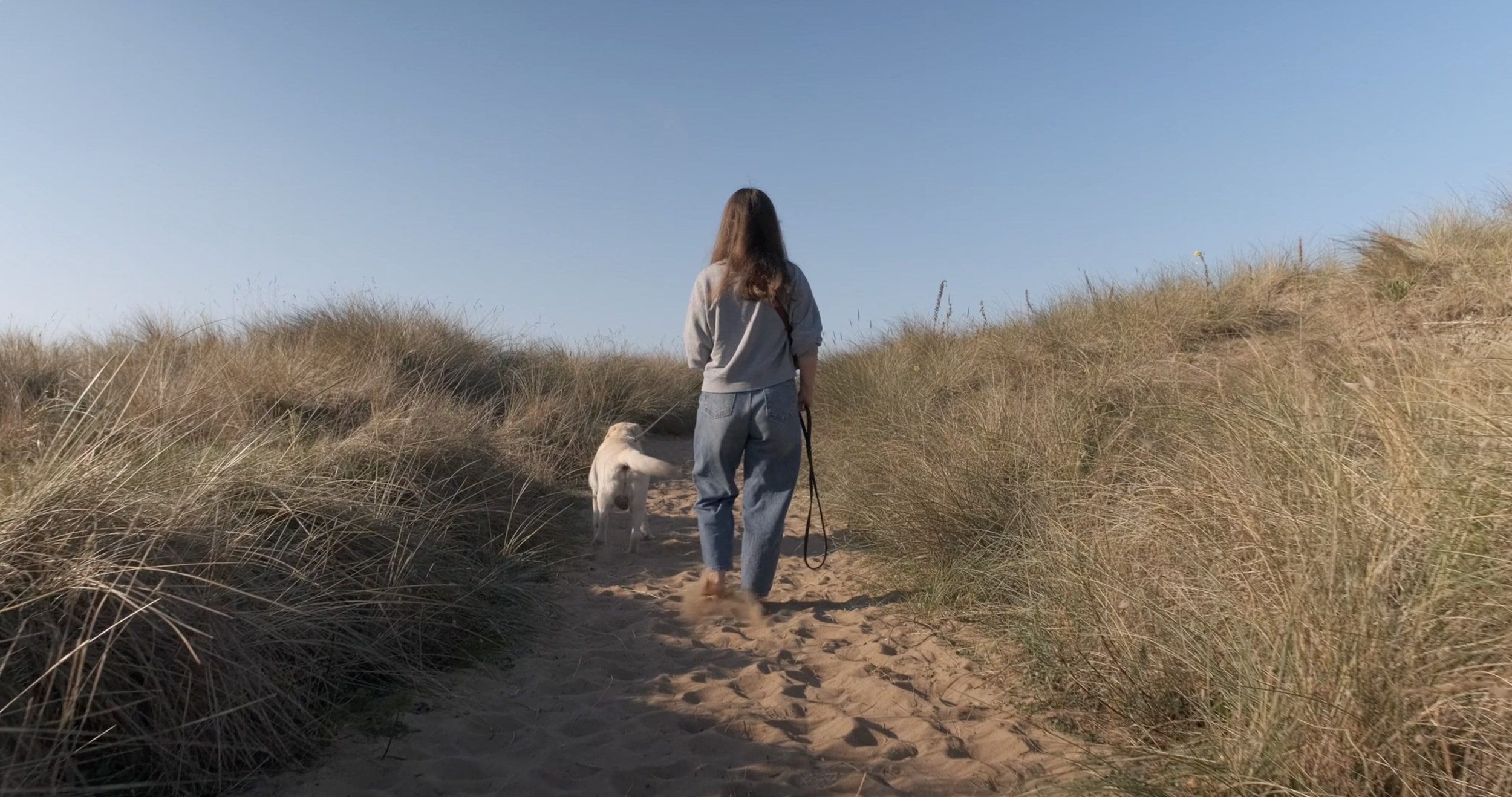 Screenshot 2025-12-16 at 10.37.02 AM.png