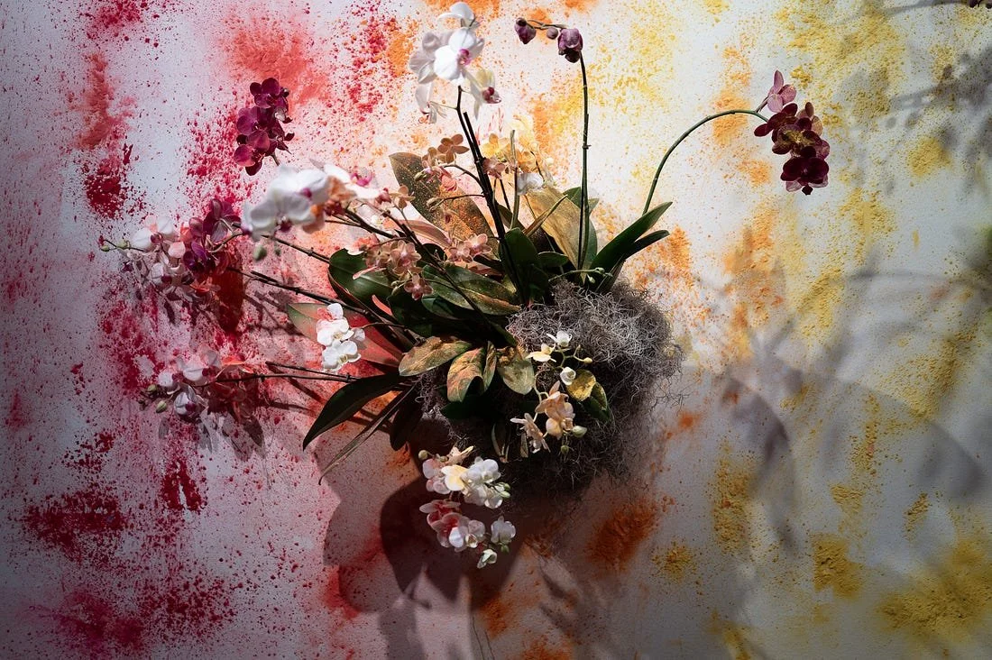 Rishad - Flowers.jpeg