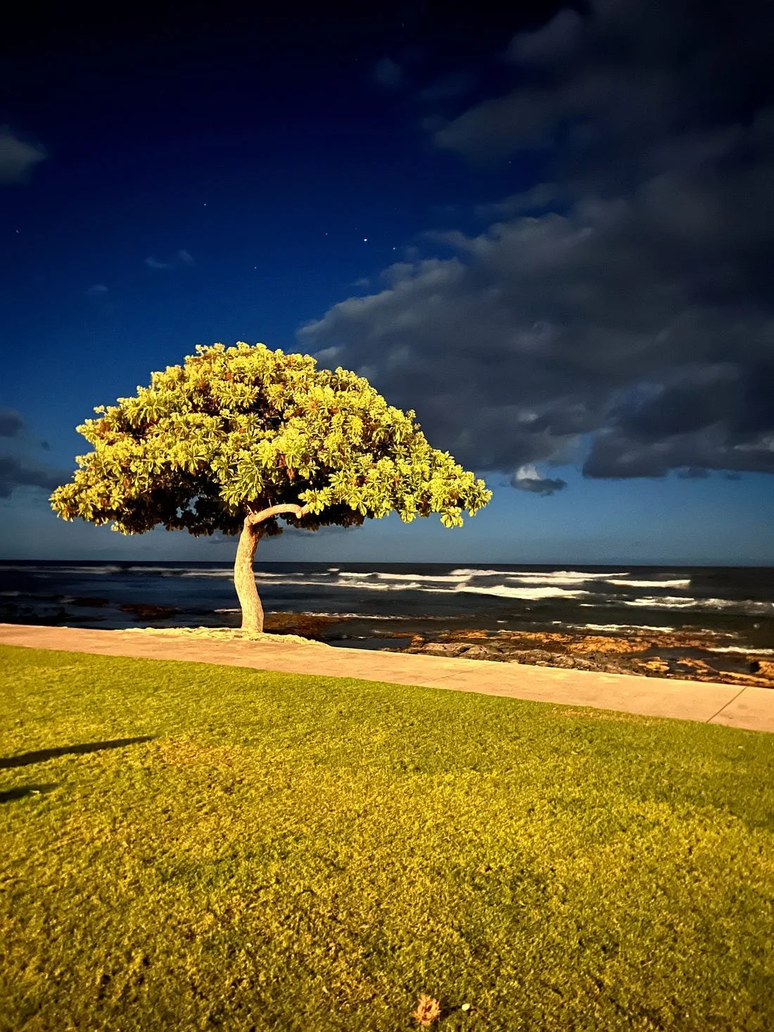 Rishad - Roots and Wings jpeg.jpeg