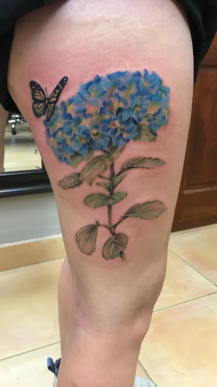 gallery-hydrangea-butterfly.webp