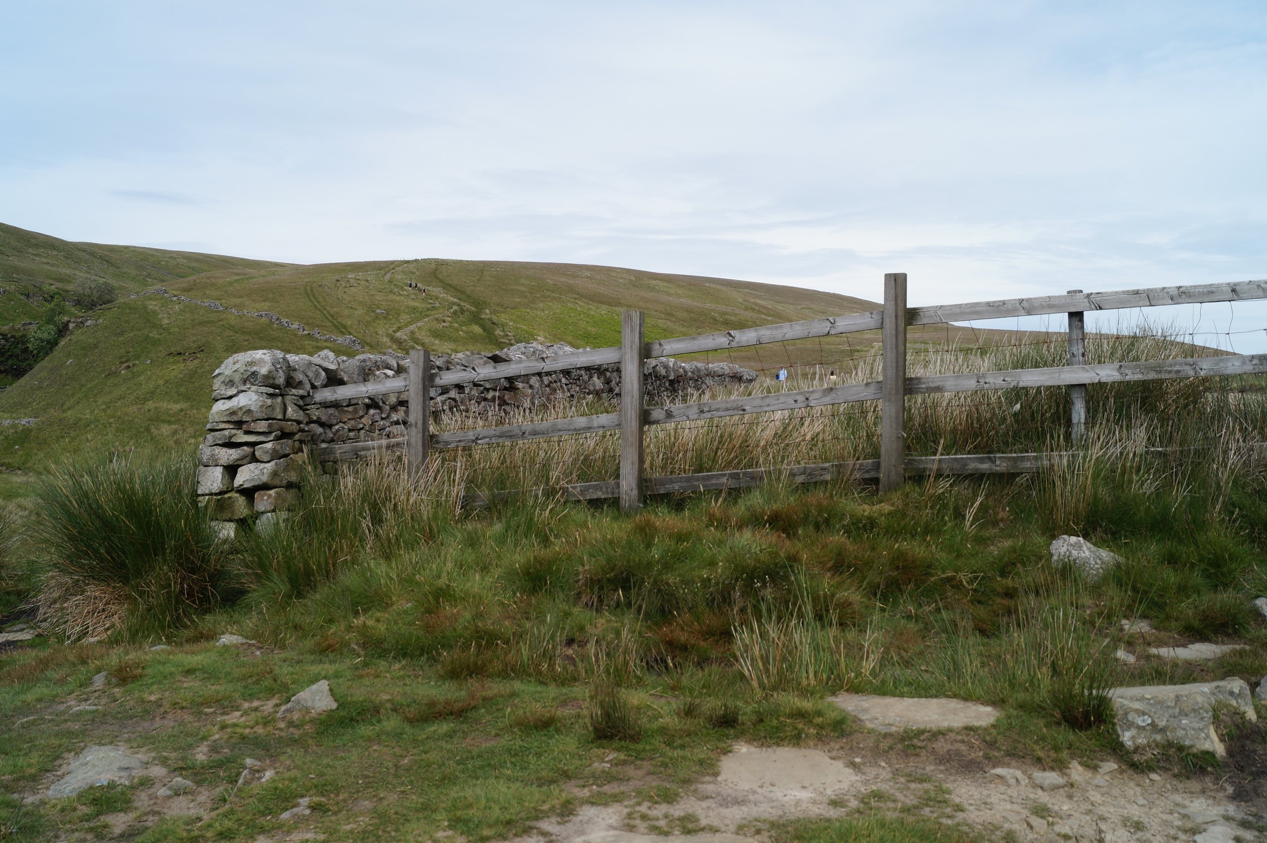 Old stone dyke and fence marking a boundary between two properties in rural Argyll