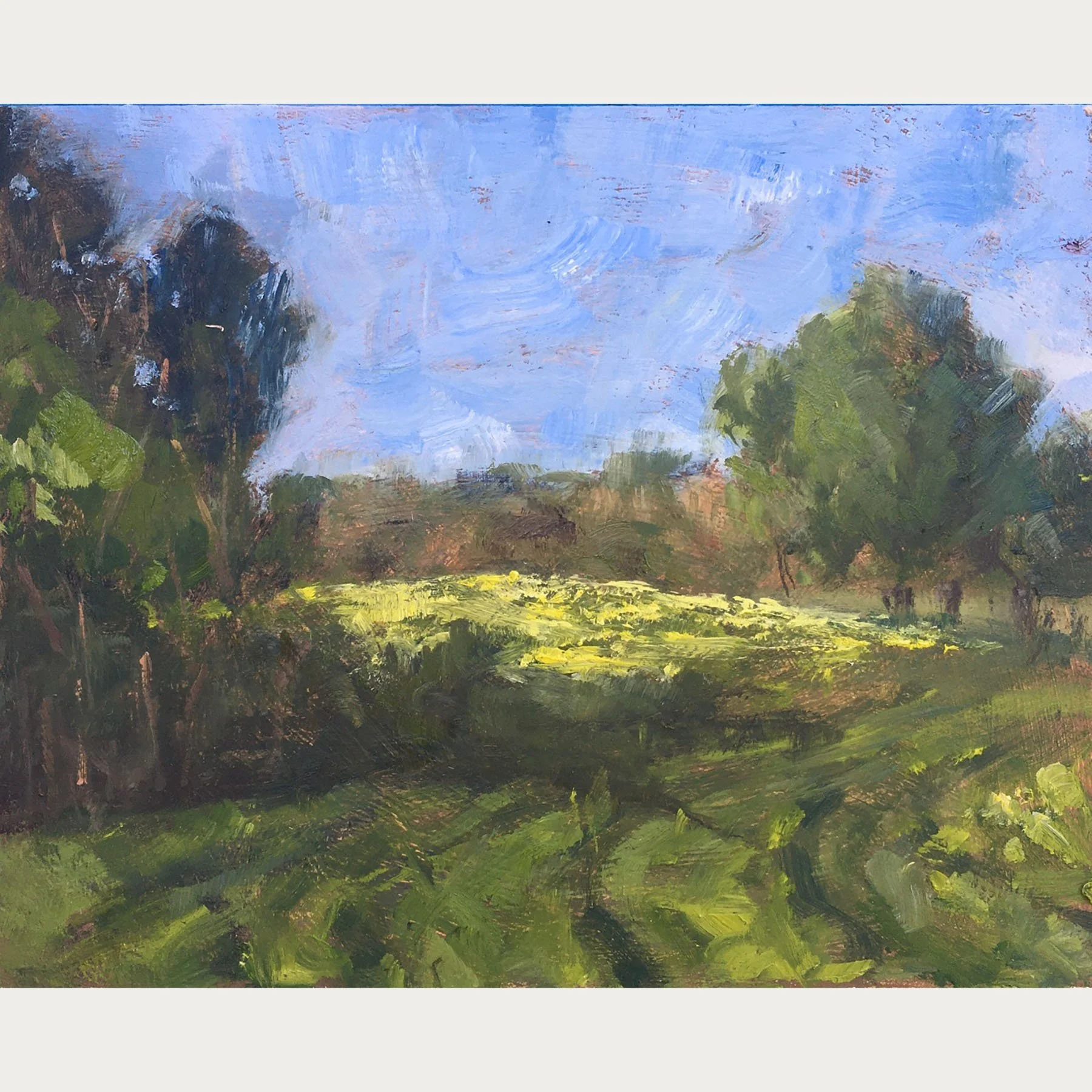 Print - Golden Fields