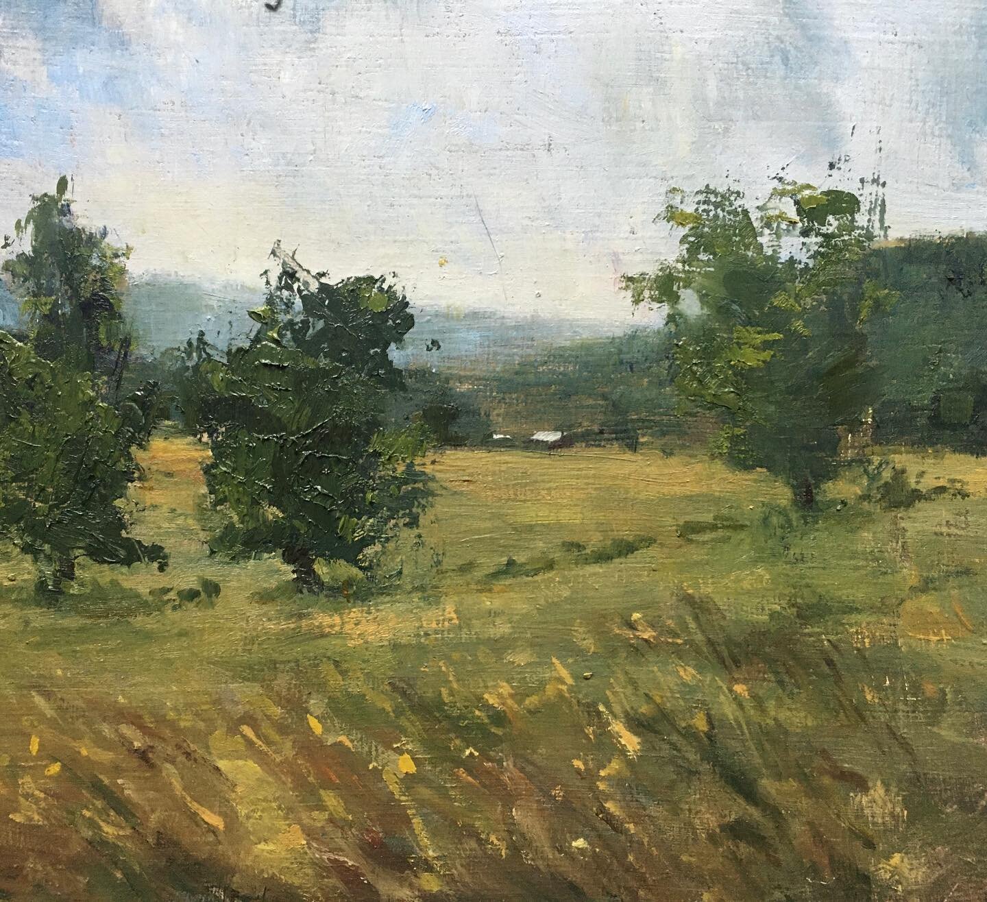 r. Brown&rsquo;s field. One of my favorite views in the world. 

#oilpainting #impressionism #beautifulplaces #artlovers #northcarolinaartist #raleighartist #caryartist #landscapepainting #discovernorthcarolina #discovernc #artcollection #ncmountains