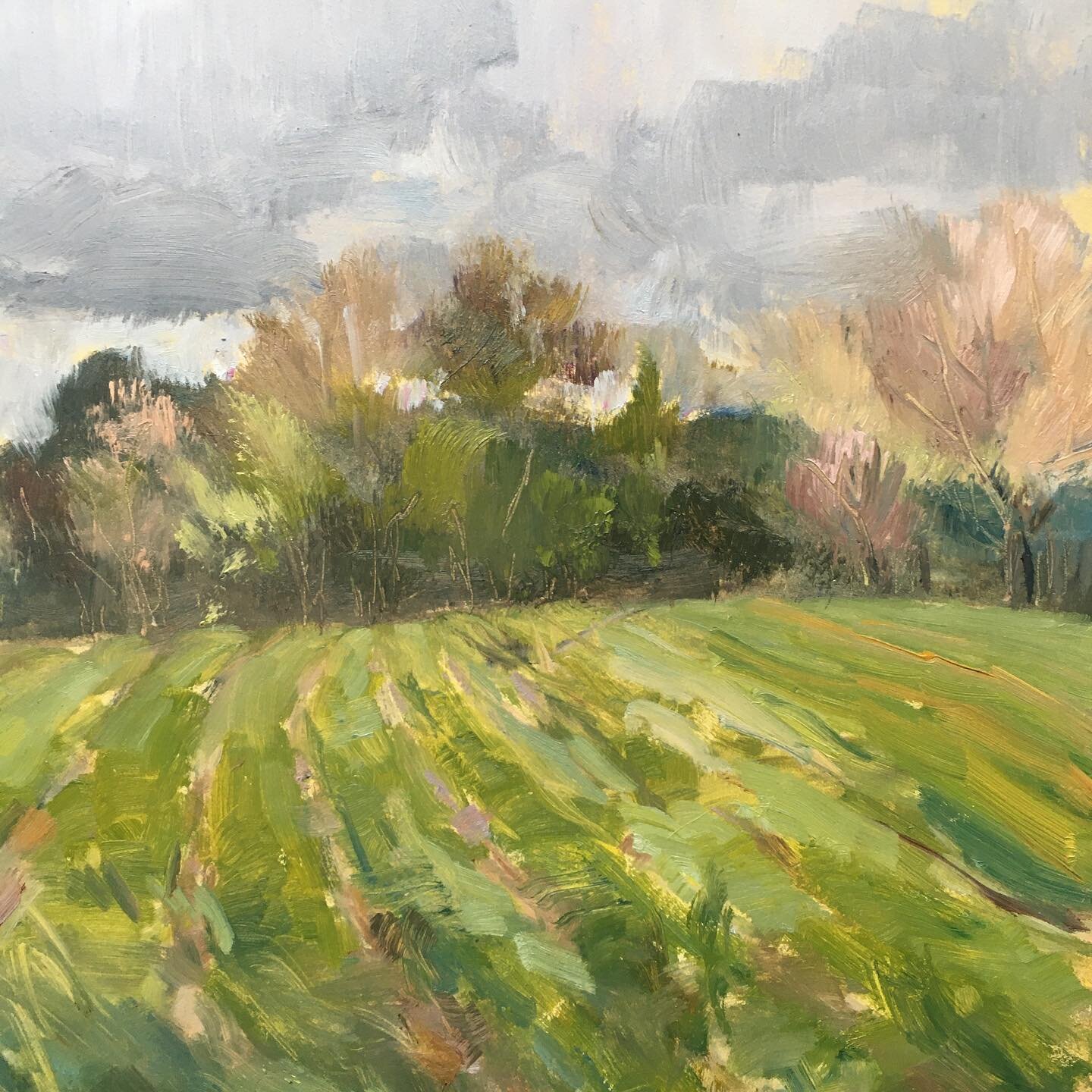 Will it Rain? 8x8 oil on panel. (The answer is yes, by the way. It will rain hard but you will get your gear and yourself into your car with seconds to spare 😅)
Painted by the small field on Inwood Rd behind @ncstatehowlingcow . 

A color stands abr