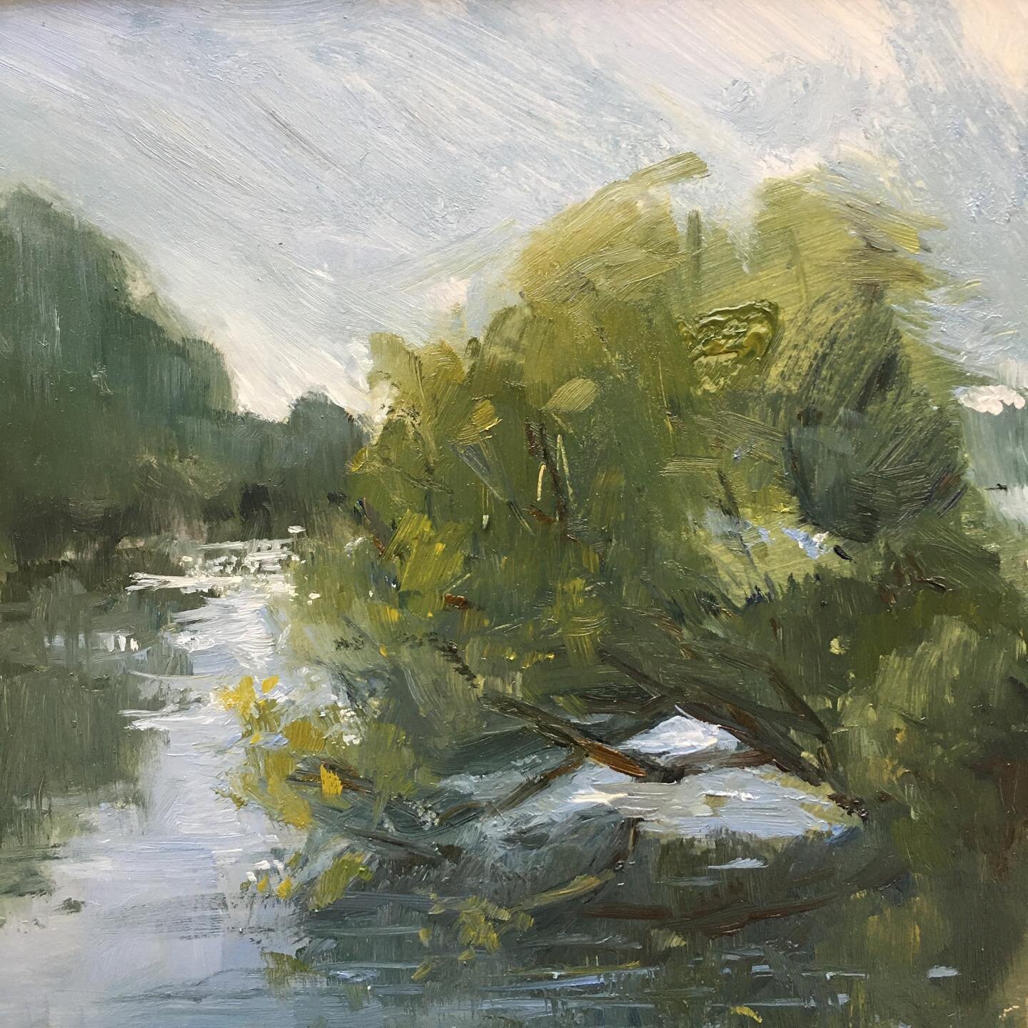 I got to do some #pleinairpainting at Lake Wheeler yesterday. Everyone was so nice! No humorous remarks to add to the book! 😅 Also, I watched #theboysintheboat movie last night and all those beautiful river images are still running through my head. 
