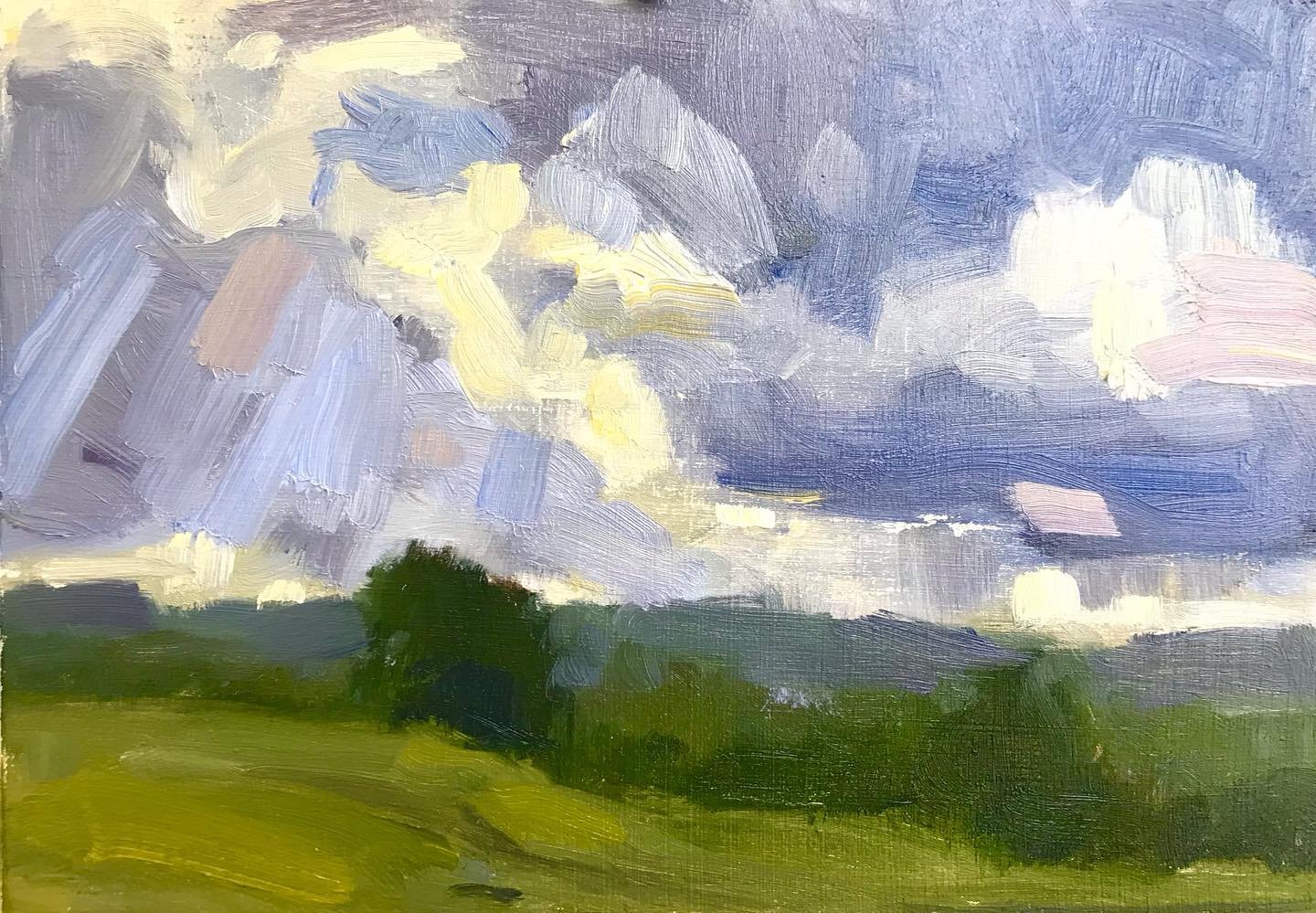 A little 6x8! of my favorite place to paint locally. Part of NCSU dairy farms. Kept watching those storm clouds but the rain held off. I&rsquo;m going to try to work a bit more #pleinair painting into my schedule while the weather is nice! I painted 