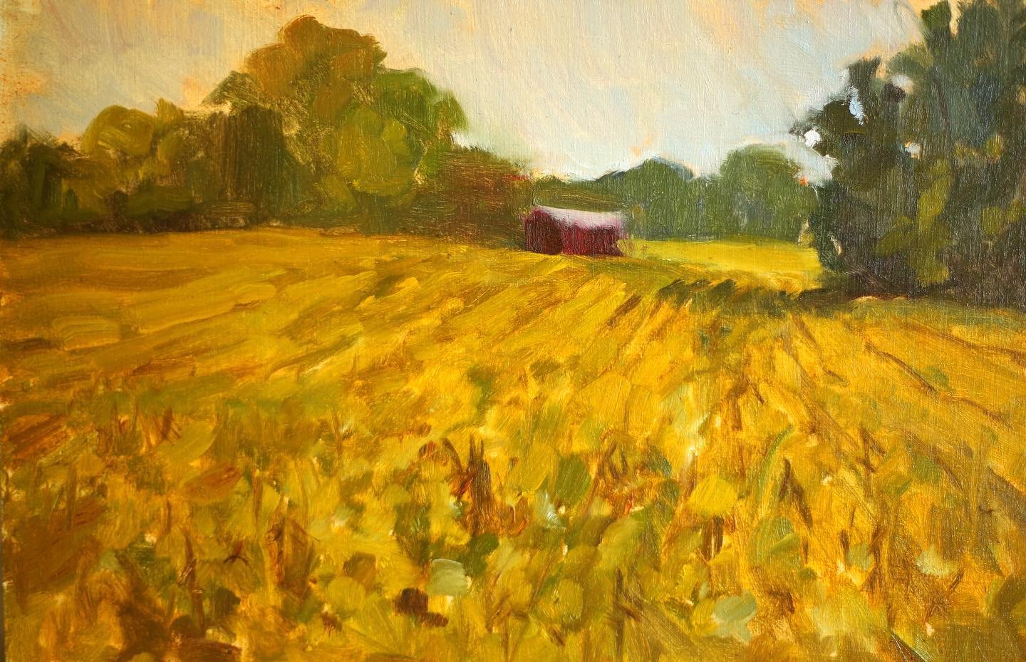 Last Saturday, my painting buddy @annayerscreative and I drove out to explore the countryside and paint whatever caught our eye. We went around a curve in the road and this scene of a golden autumnal soybean field unfolded before us. The weather was 