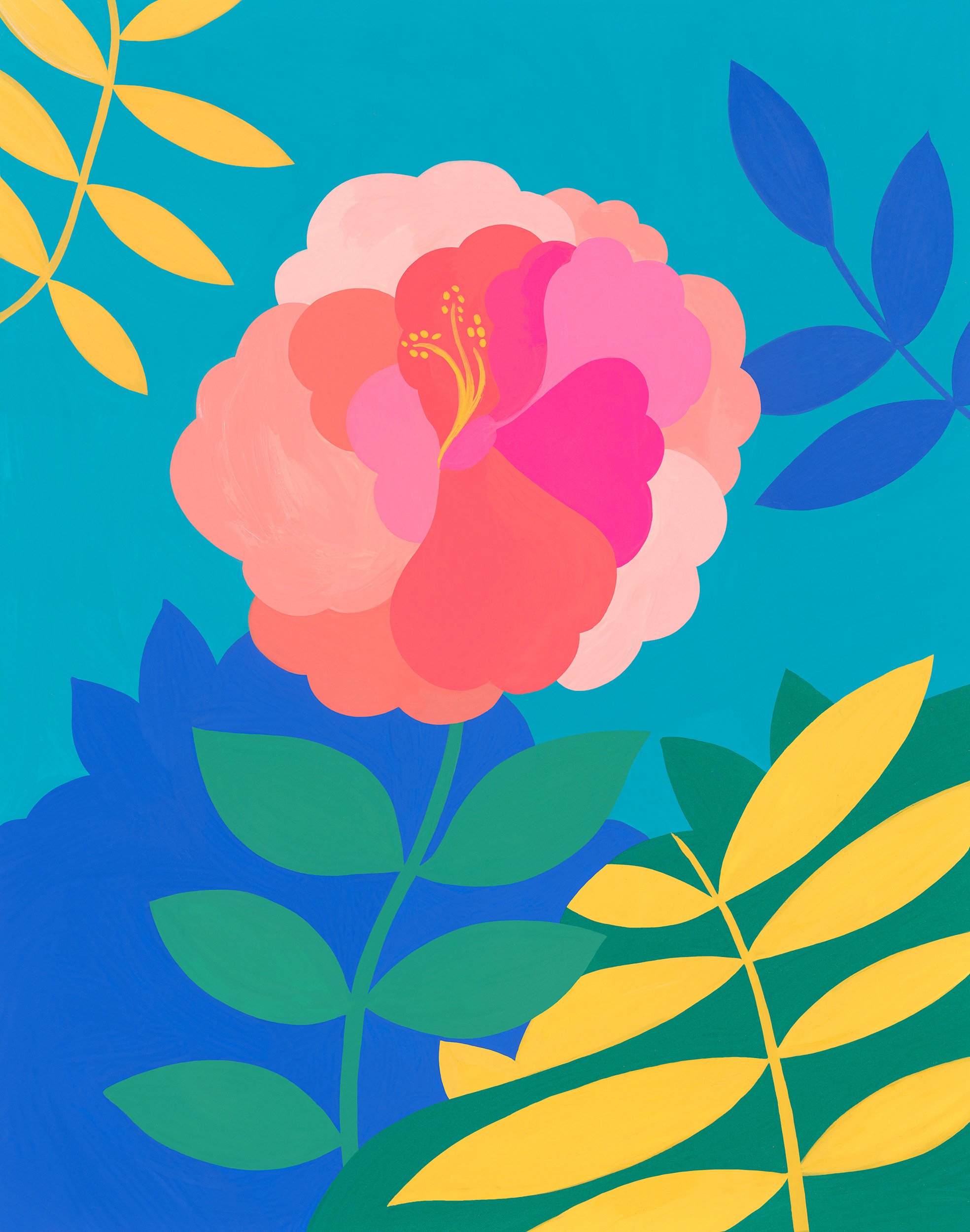 2026_Portfolio_Hibiscus.jpg