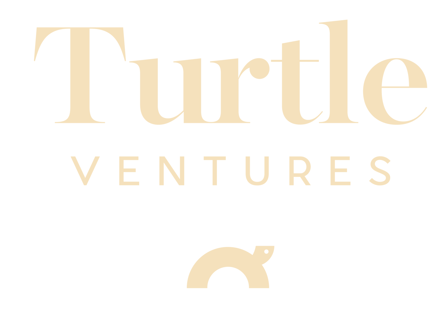Turtle Ventures