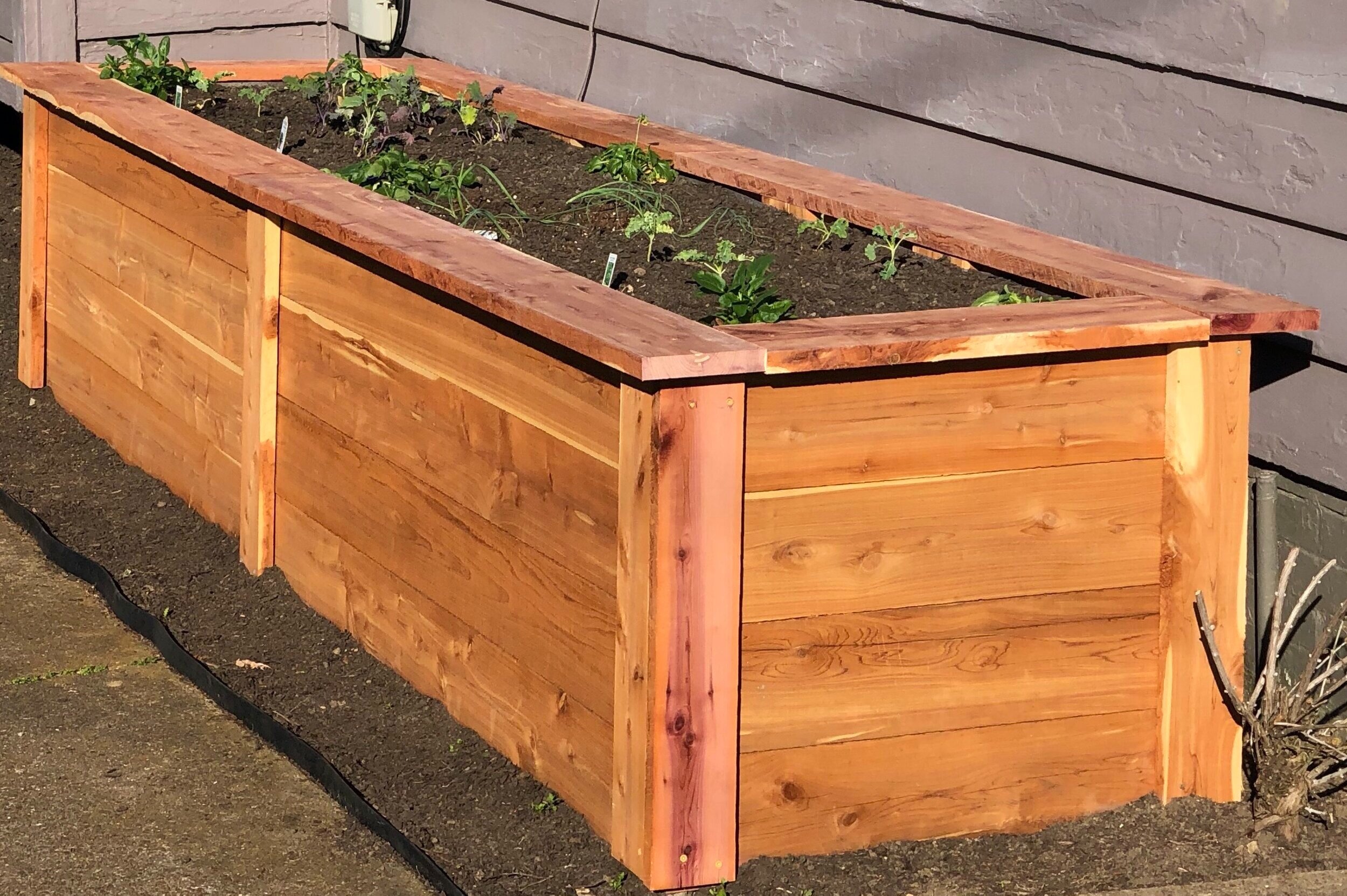 TKGBorderGarden