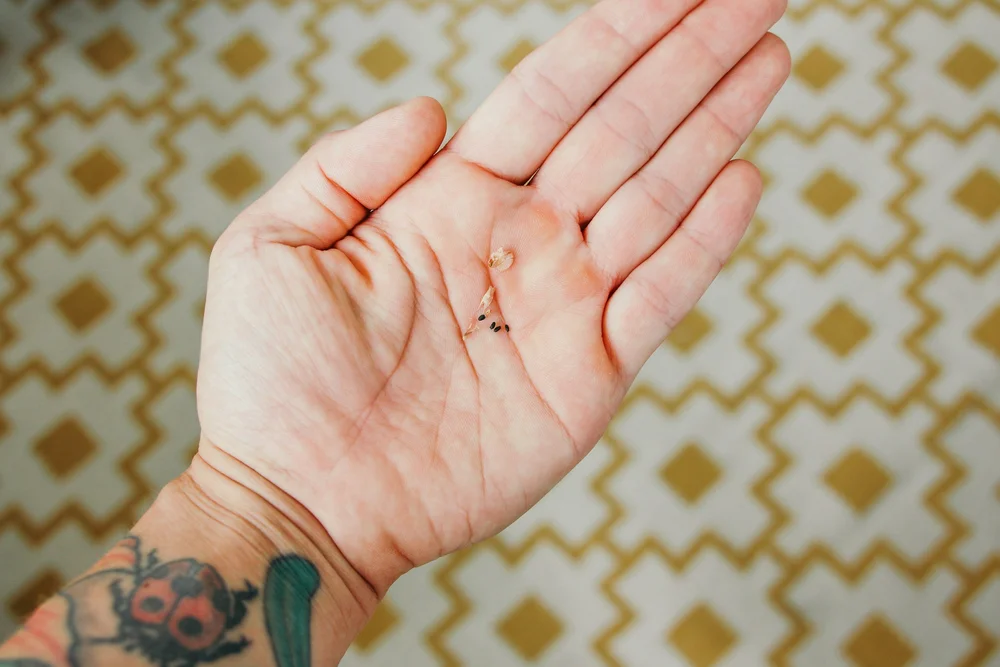 tiny basil seeds