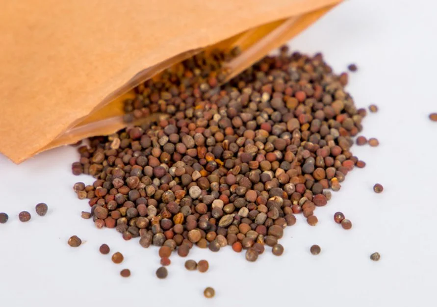 seeds
