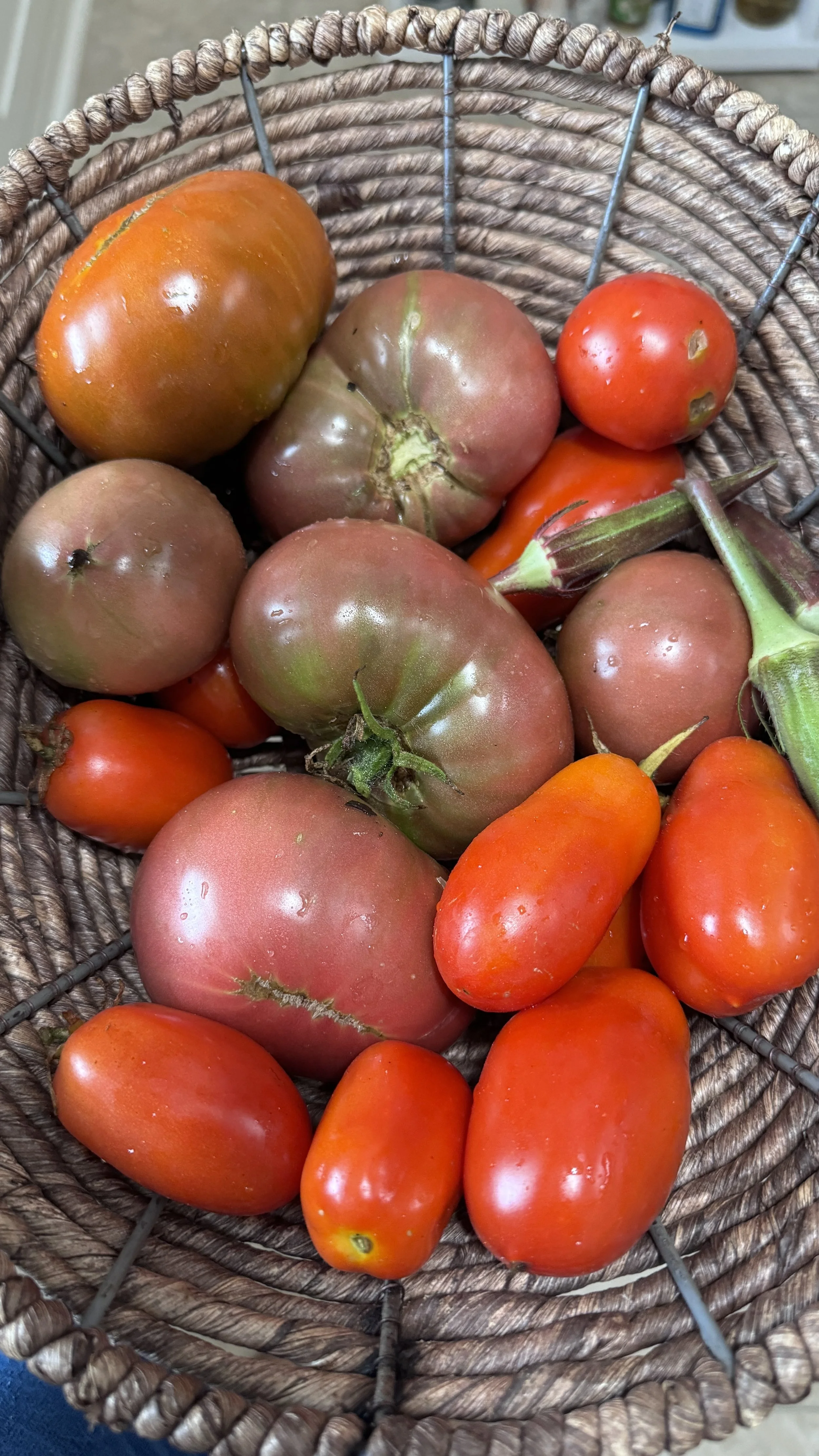 October Bounty