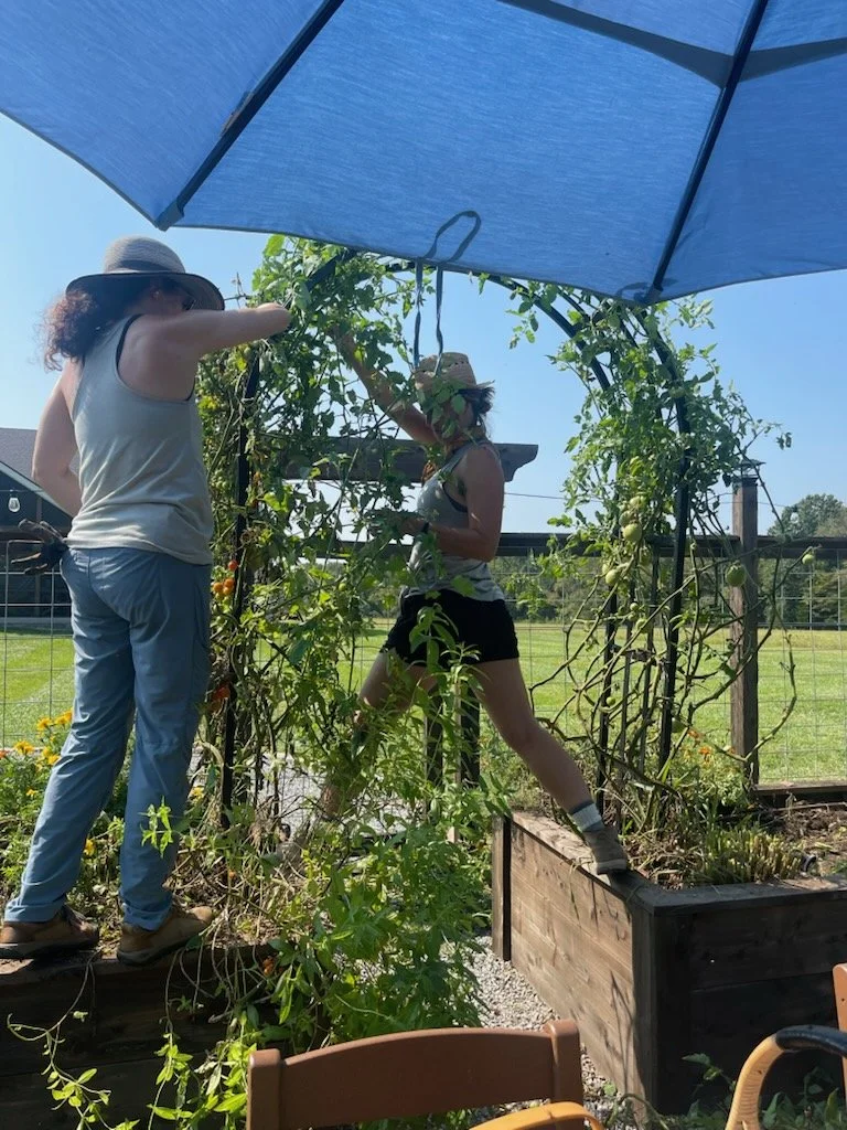 5df5ac60a3b74de090b47f7dd20d4bc8 2.JPG