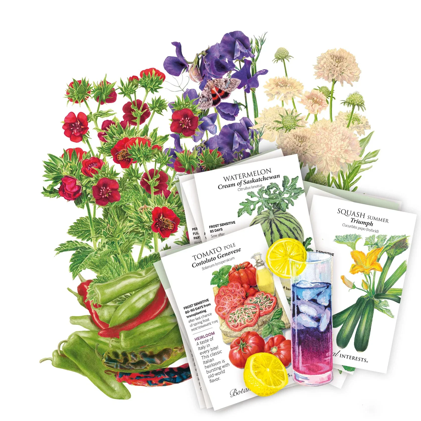 FP-COLL-N26-22217_20New_20Varieties_202026_v2.jpg.webp
