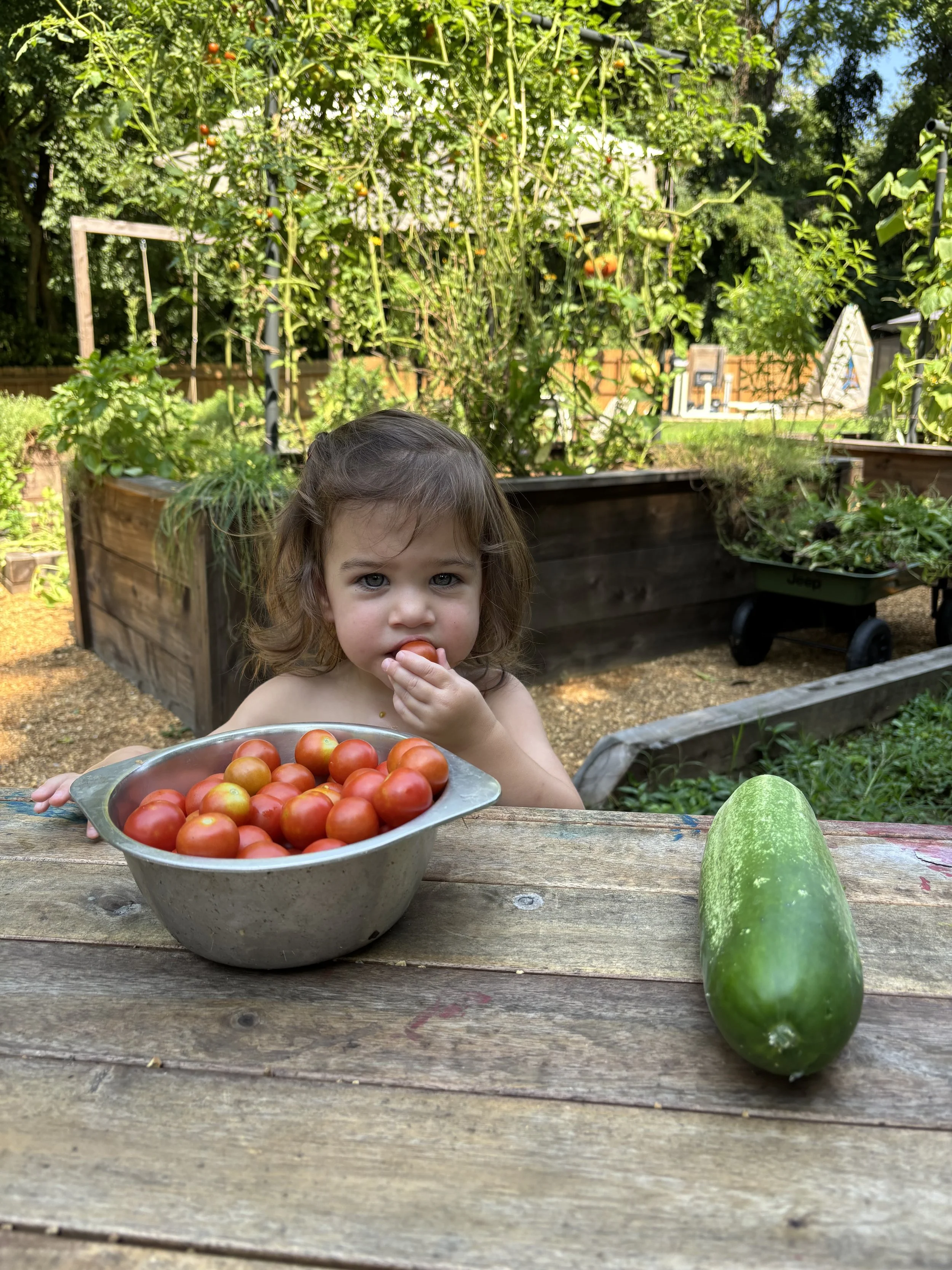 Five Years In: The Garden Metrics That Matter