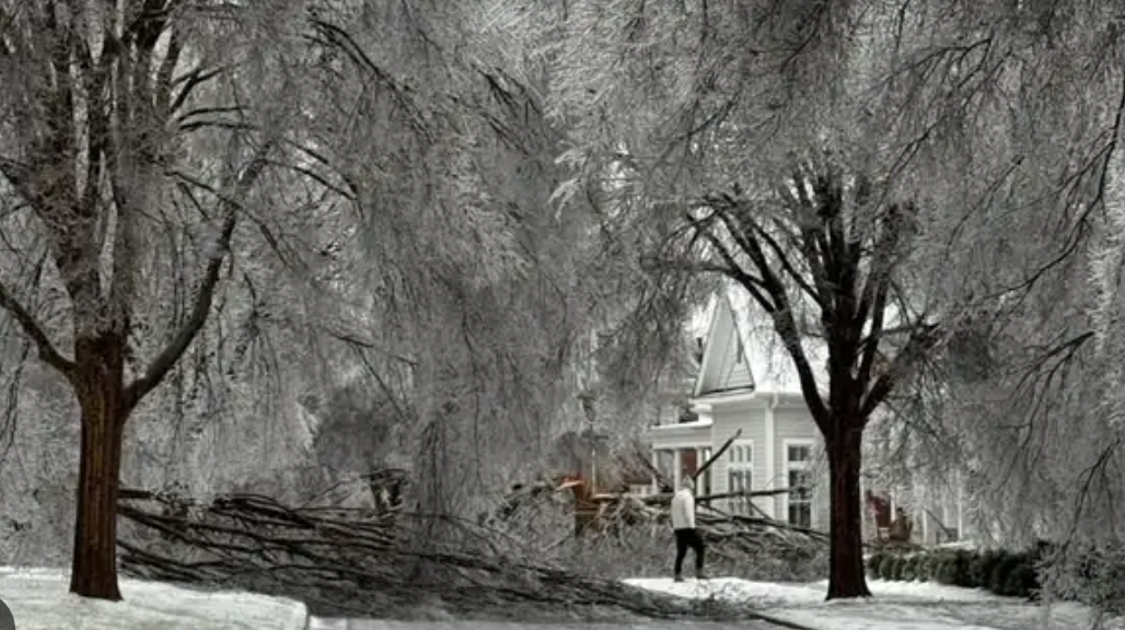 Screenshot 2026-01-30 at 9.41.15 AM.png