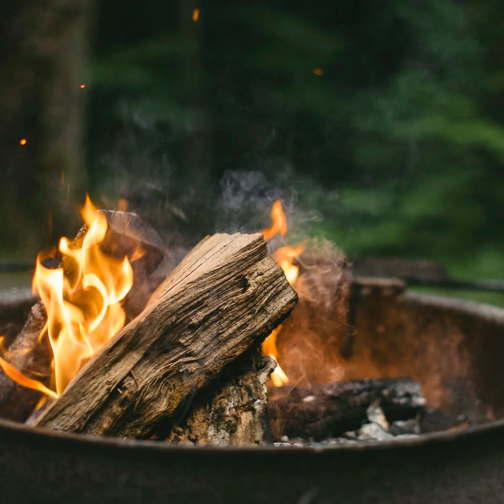 unsplash-image-Rdsc2L517iQ.jpg