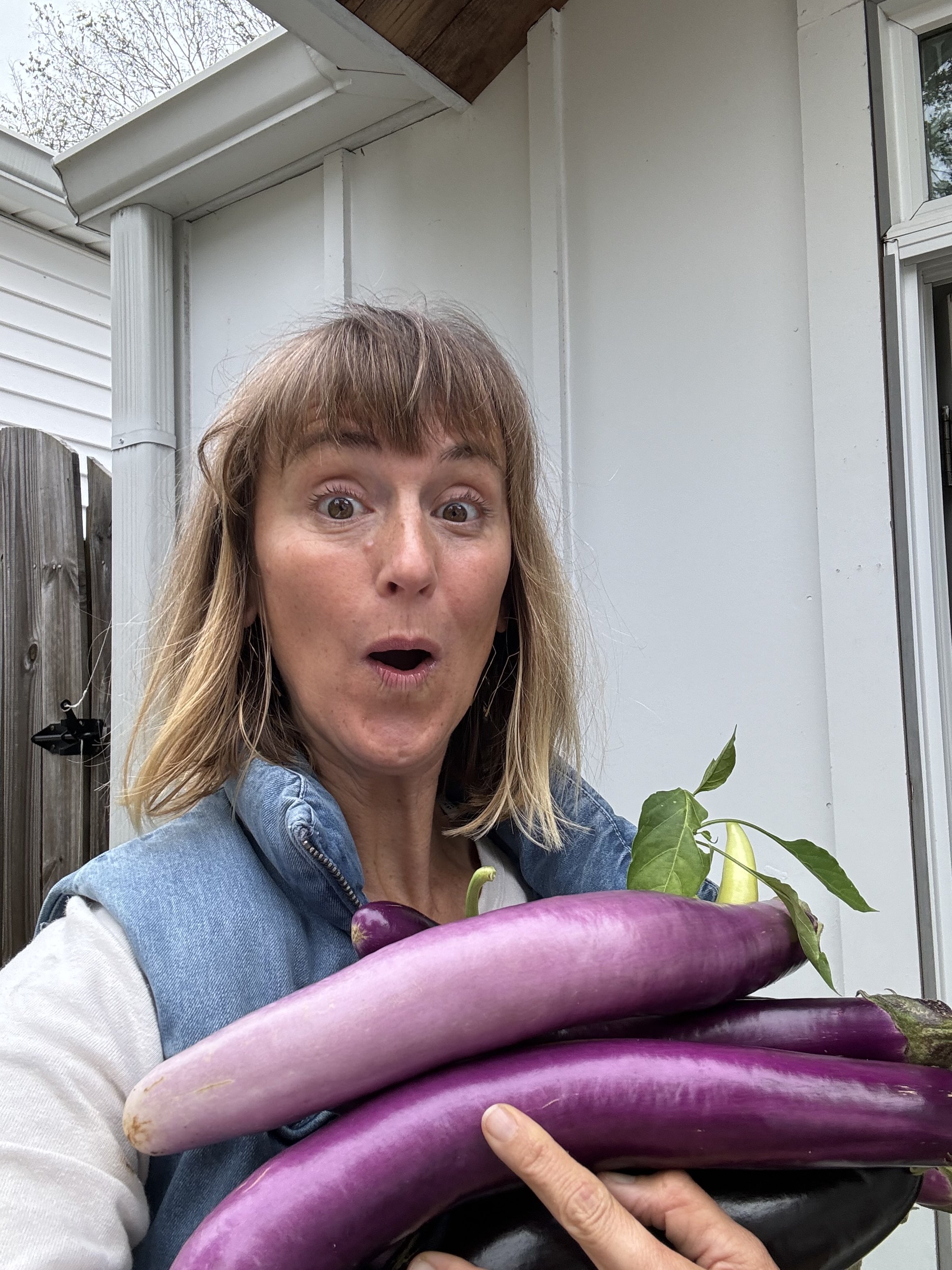 Q&amp;A: My summer garden seems fine right now. What's the deal with fertilizer?