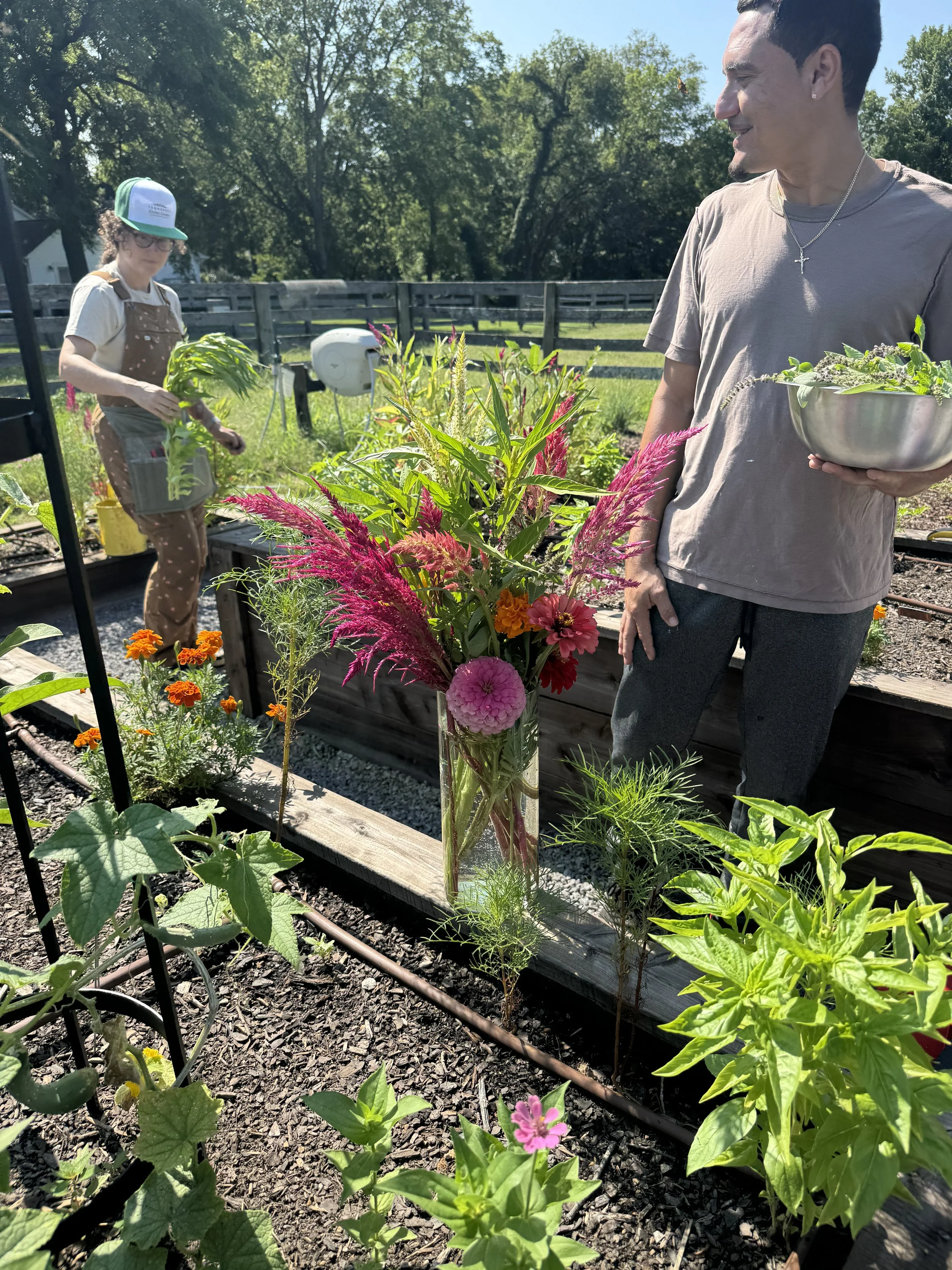 Q&amp;A: What can I do for my garden in this sweltering summer heat? (Besides watering, we’ve got that)