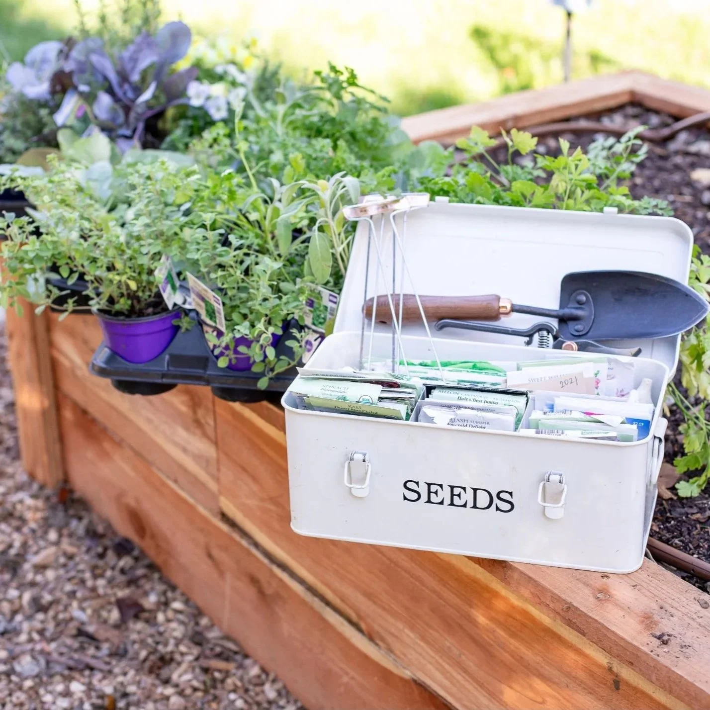 The Busy Gardener's 2-Hour Fall Power-Planting Session