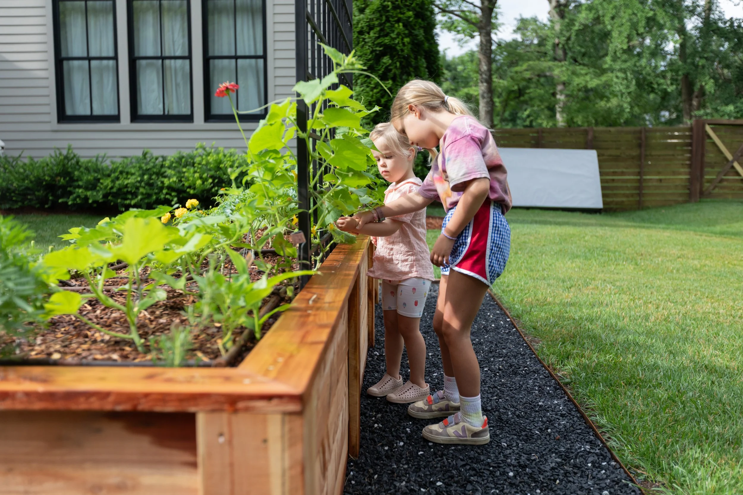 Q&amp;A: What’s the difference in raised beds versus smaller containers versus in-ground gardens in the fall? &nbsp;