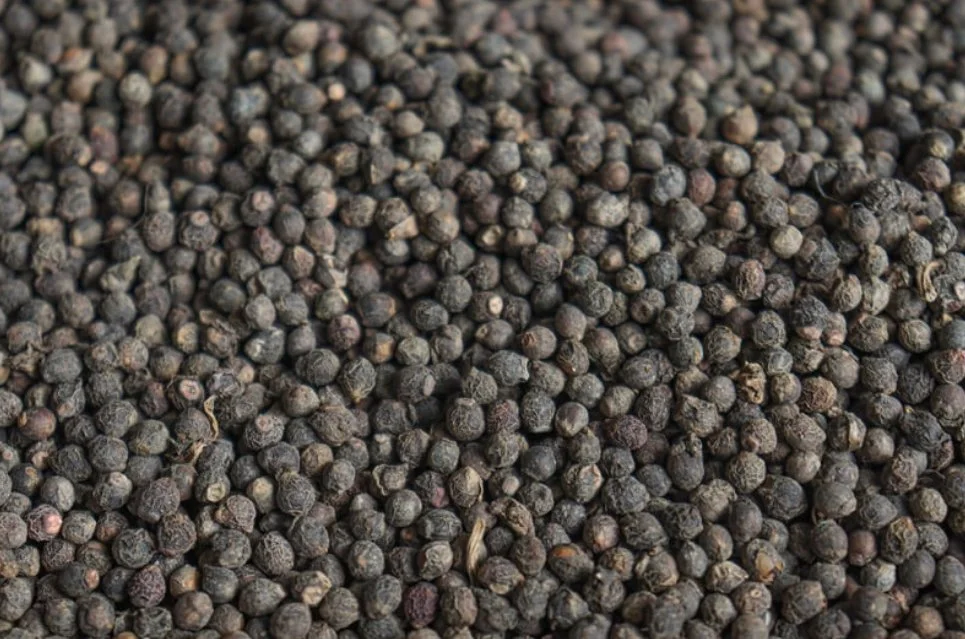 spinach seeds