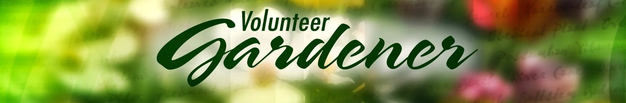 A colorful blurred background with the text 'Volunteer Gardener' in bold green font.
