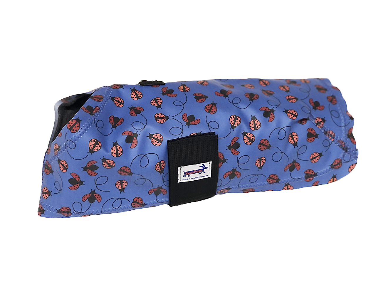 Ladybugs Raincoat.png