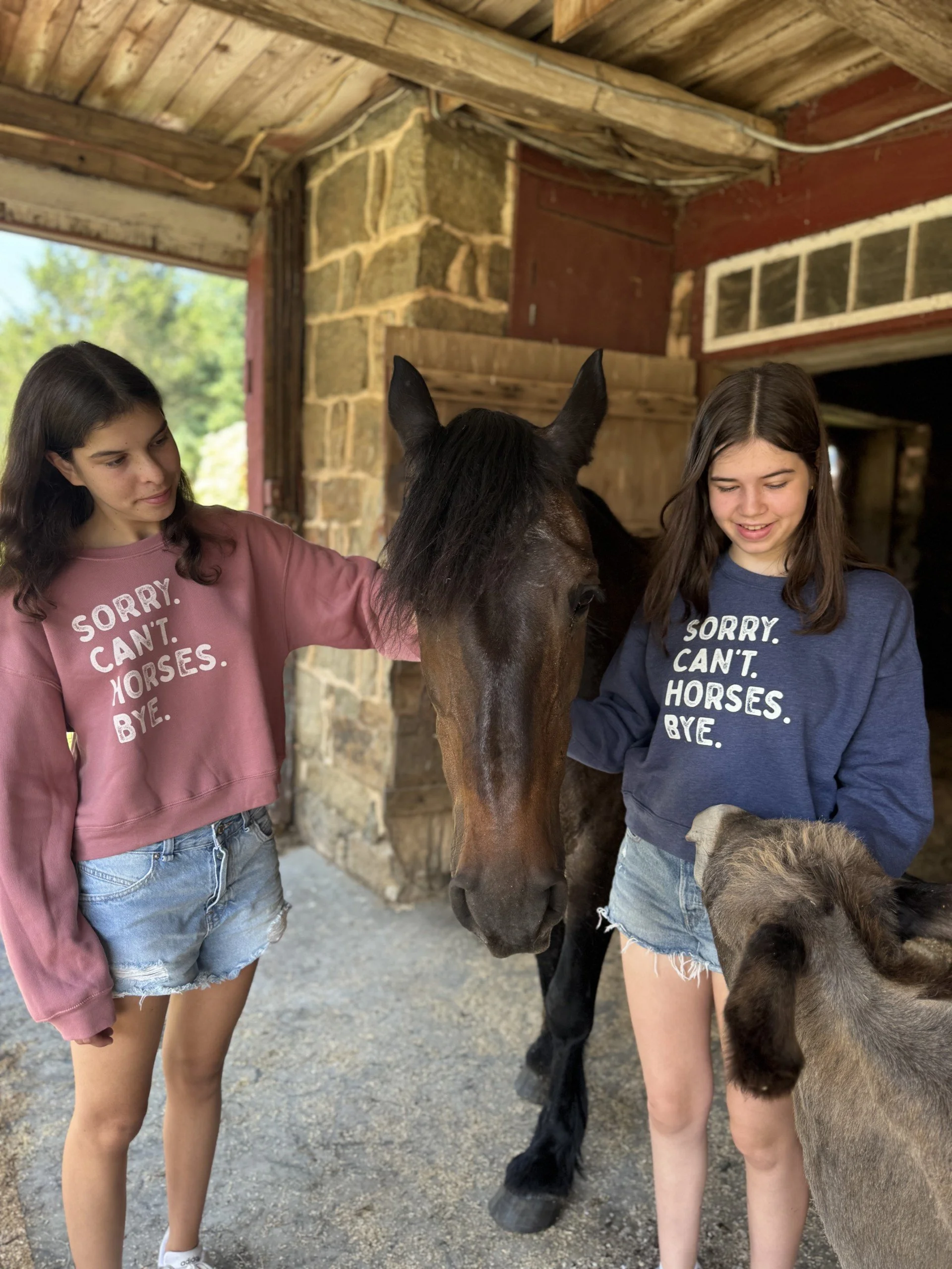 Sorrycanthorsesbye sweatshirt vintage girls posing .jpg