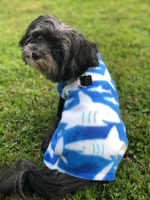 Great White Shark Fleece Coat