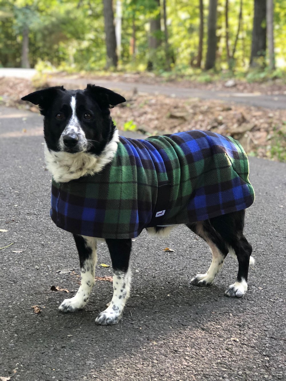 Blackwatch Plaid Fleece Dog Coat — Snugpups Handmade Dog