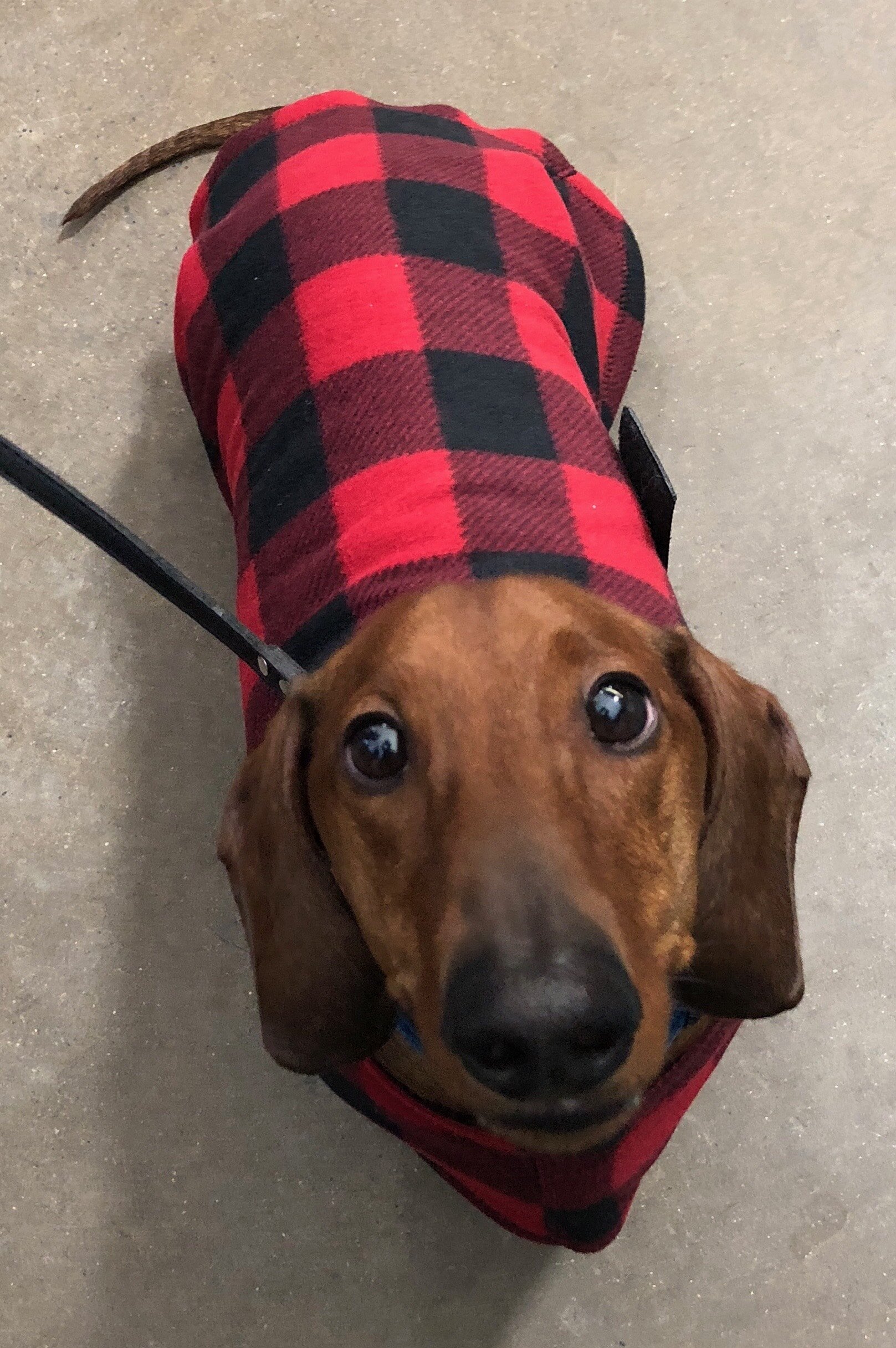 OFPUPPY Plaid Fleece Dress Jacket for Large Dogs Red Decent Style with Bowtie Puppy Winter Clothes Coat 