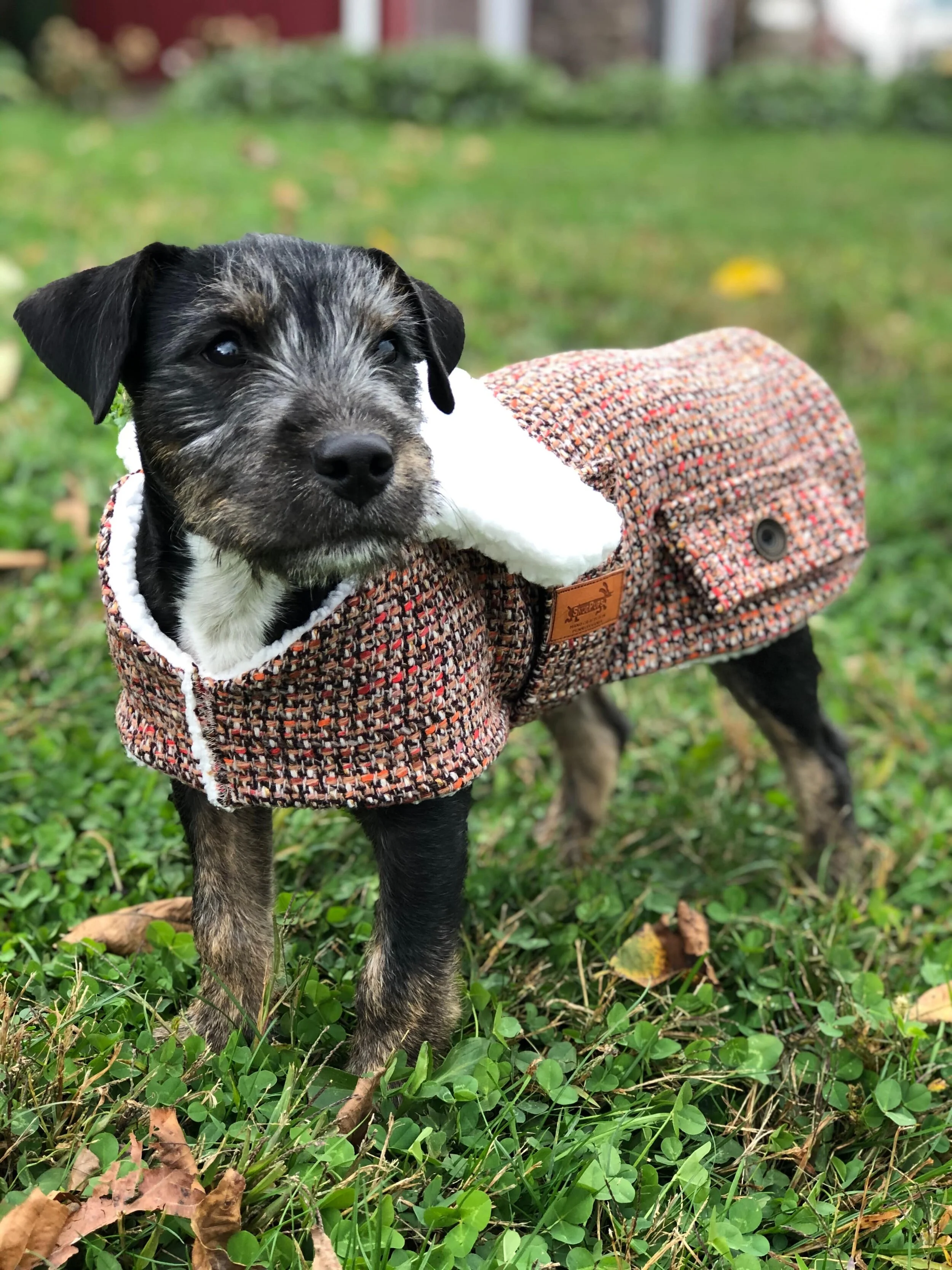 wool dog jacket