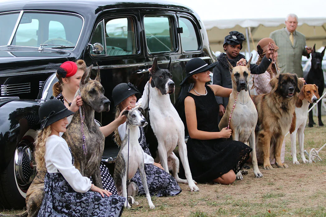 Morris &amp; Essex Kennel Club Dog Show