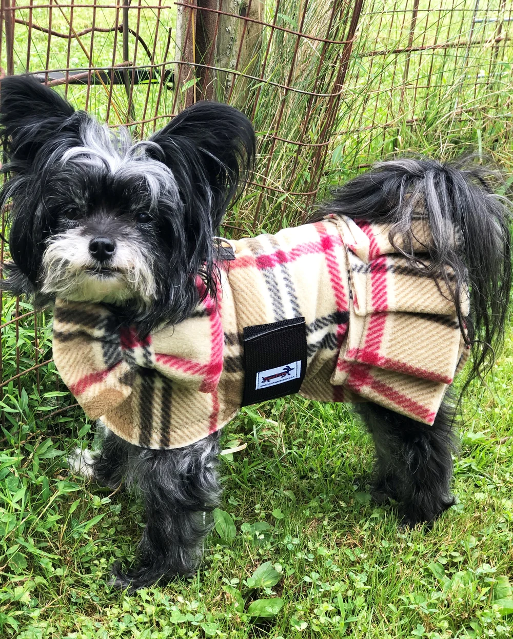 Burberry Dog Clothes: Elevate Your Pet's Style Today