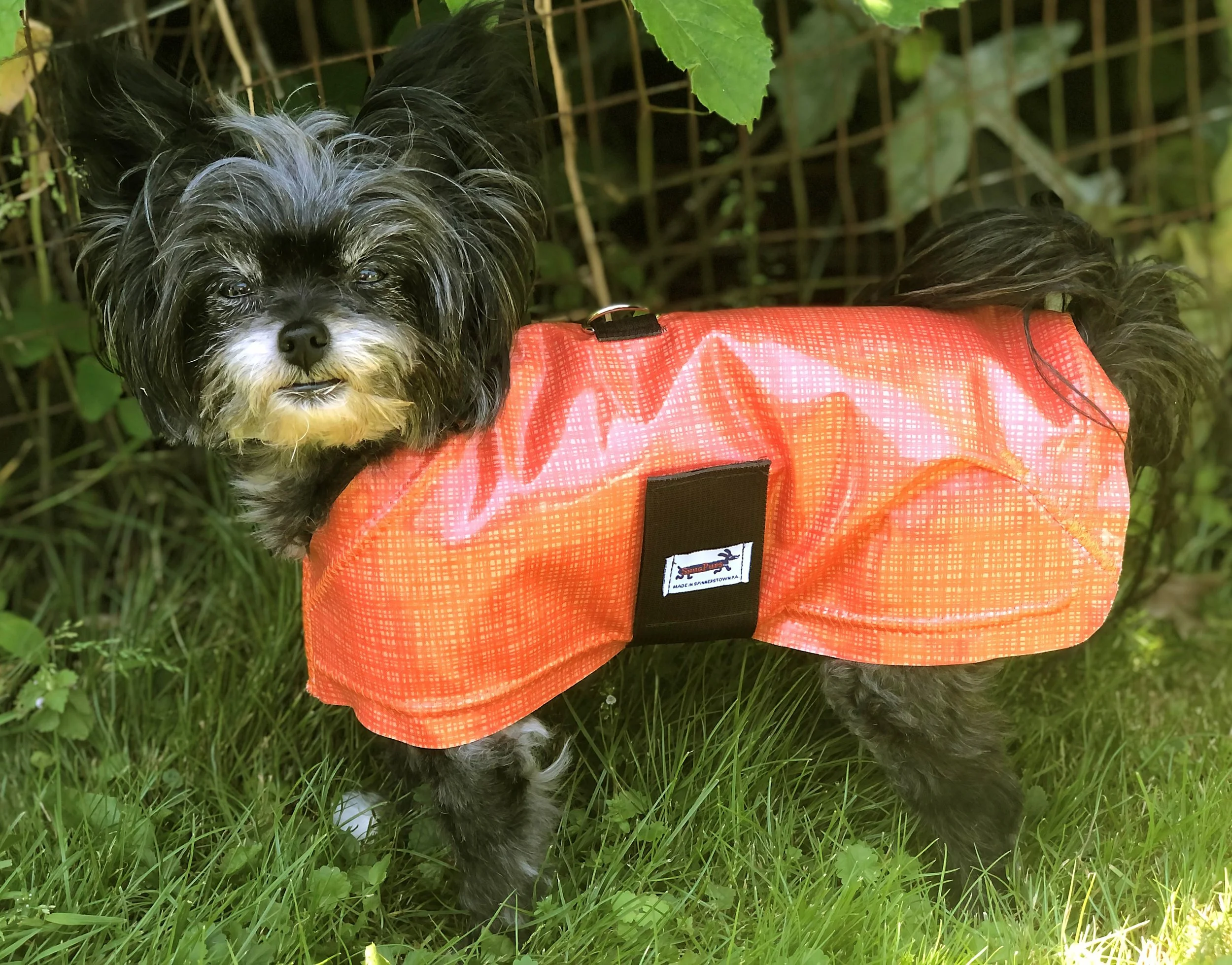 Red Polka Dots Dog Raincoat — Snugpups Handmade Dog Coats