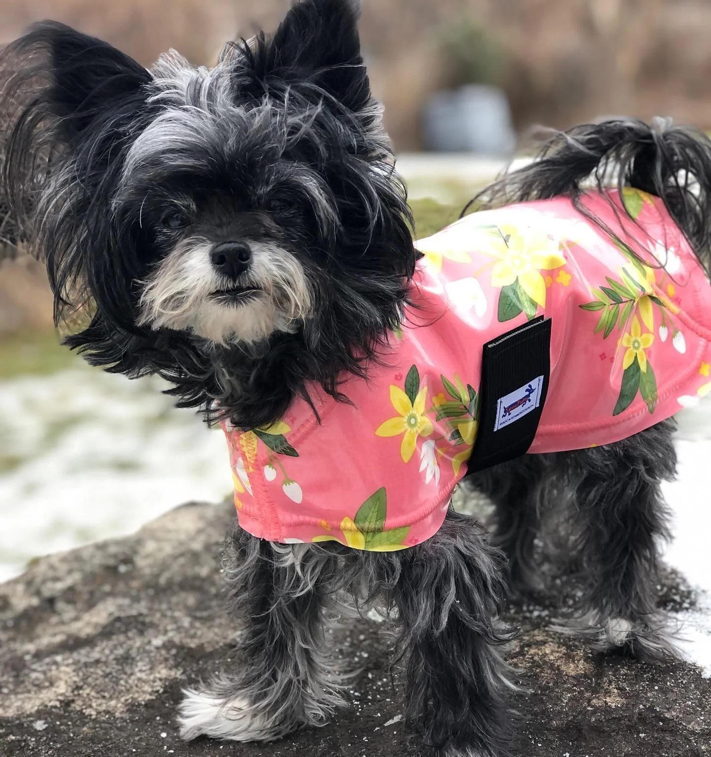 Snugpups | Handmade Dog Coats
